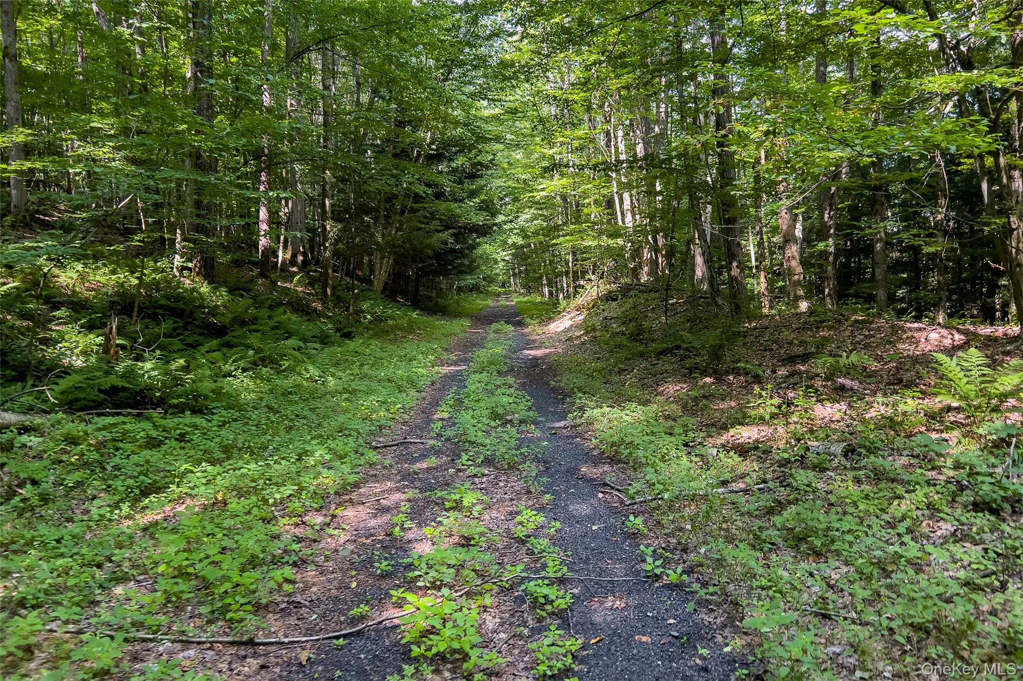 Lot #11 Franklin Depot Road, Sidney, NY, ,Land,For Rent,Franklin Depot,0,1034570 Lot #11 Franklin Depot Road, Sidney, NY, ,Land,For Rent,Franklin Depot,0,1034570