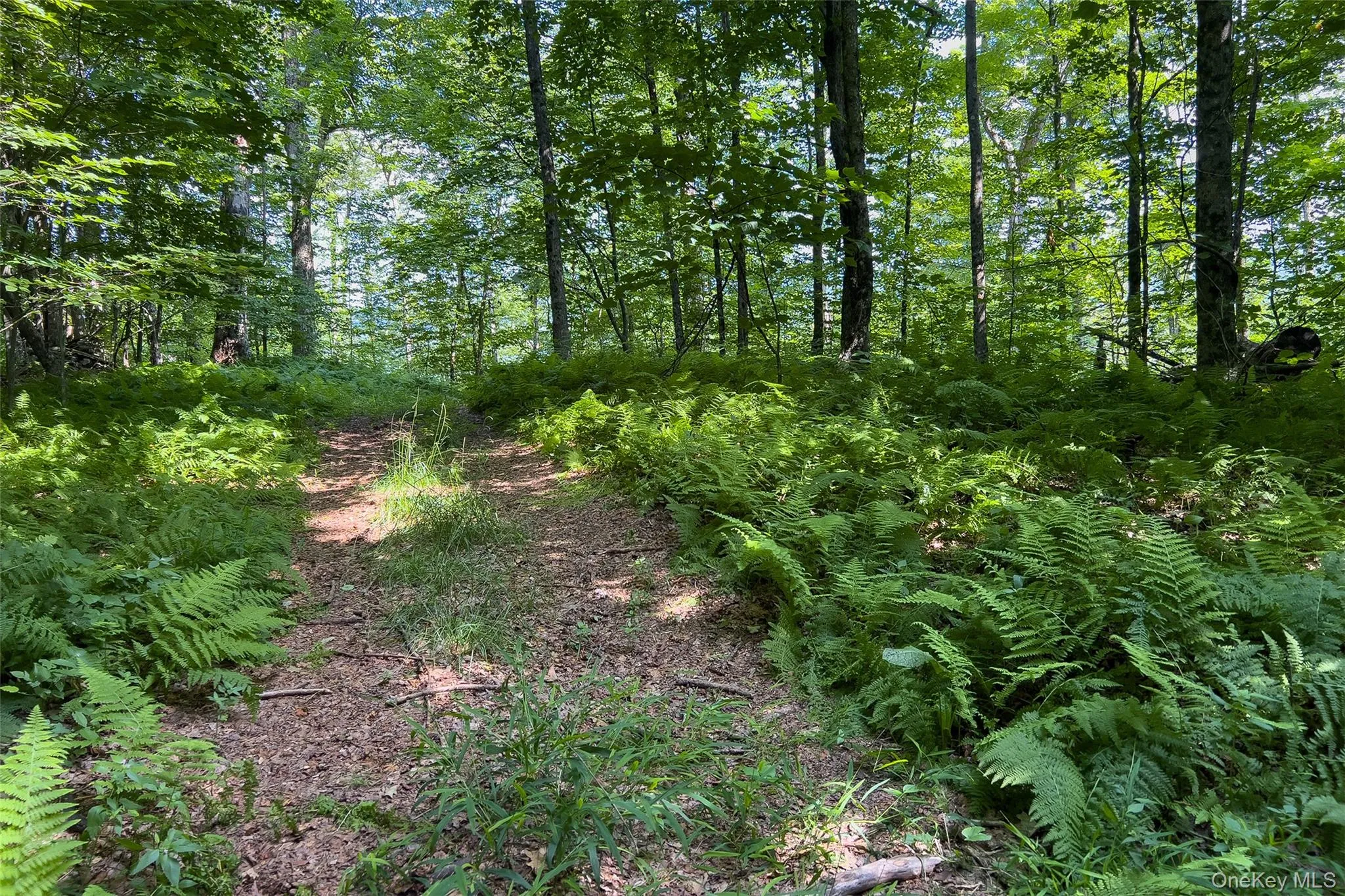Lot #11 Franklin Depot Road, Sidney, NY, ,Land,For Rent,Franklin Depot,0,1034570 Lot #11 Franklin Depot Road, Sidney, NY, ,Land,For Rent,Franklin Depot,0,1034570