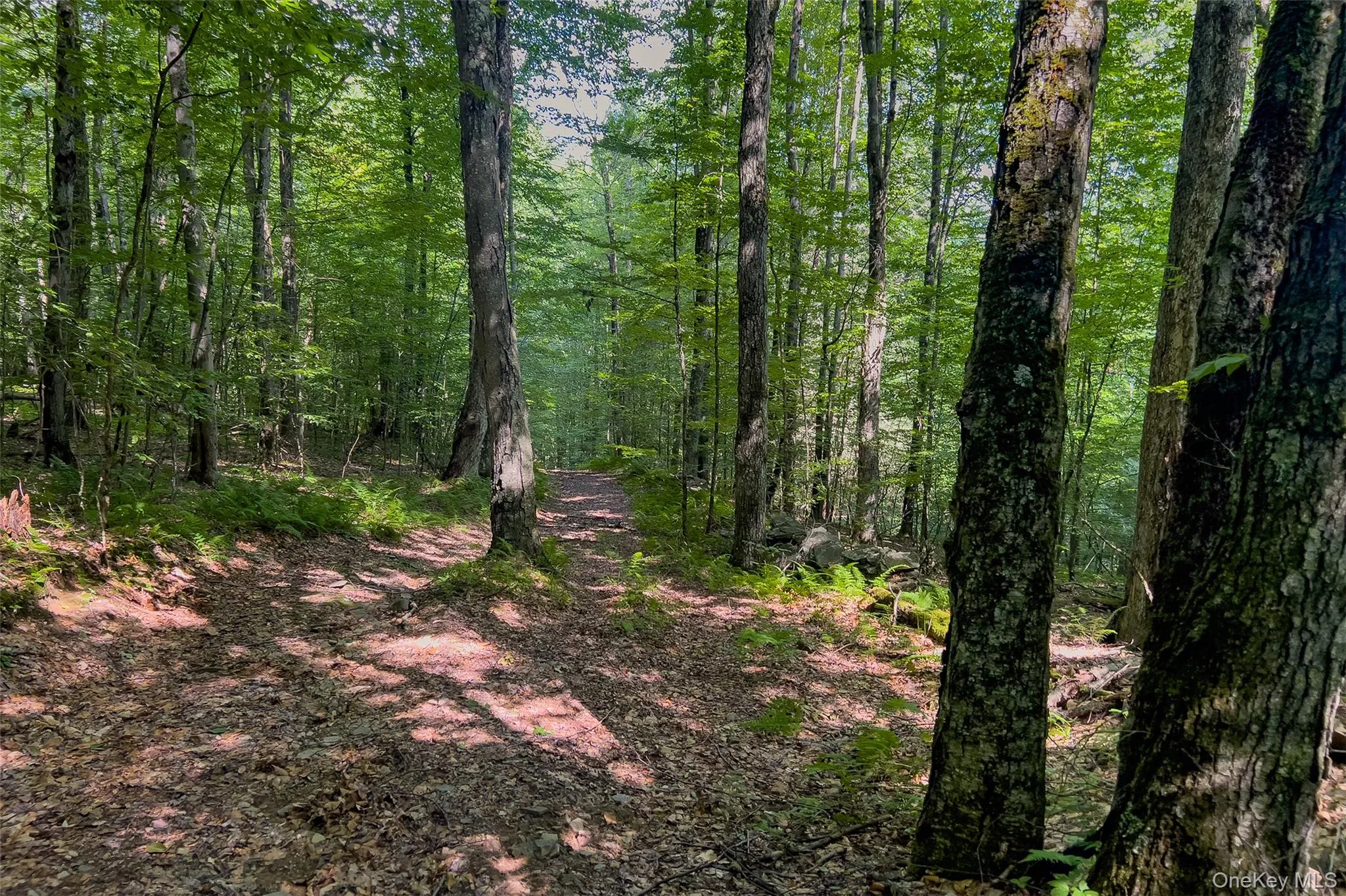 Lot #11 Franklin Depot Road, Sidney, NY, ,Land,For Rent,Franklin Depot,0,1034570 Lot #11 Franklin Depot Road, Sidney, NY, ,Land,For Rent,Franklin Depot,0,1034570