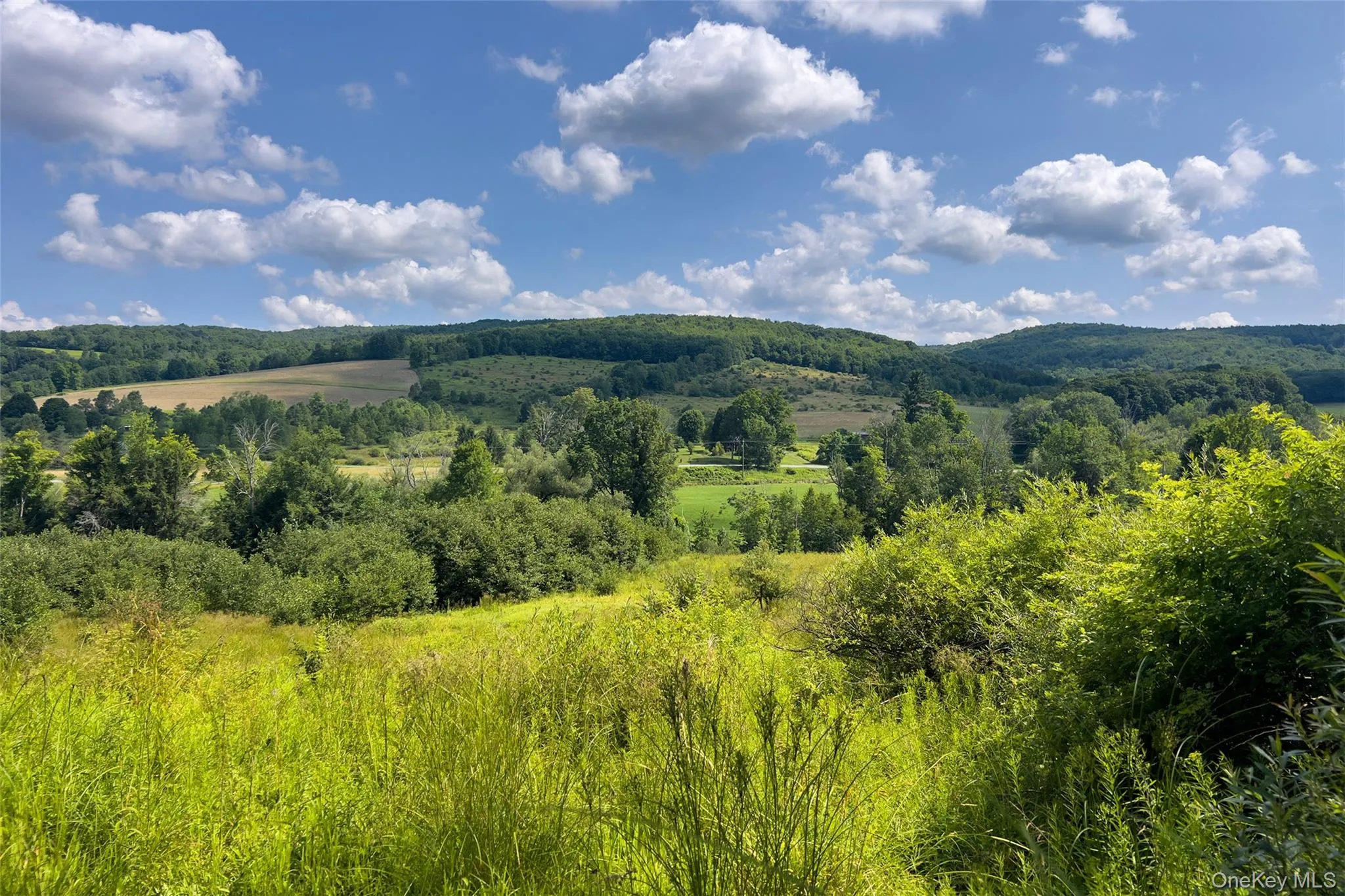 Lot #11 Franklin Depot Road, Sidney, NY, ,Land,For Rent,Franklin Depot,0,1034570 Lot #11 Franklin Depot Road, Sidney, NY, ,Land,For Rent,Franklin Depot,0,1034570