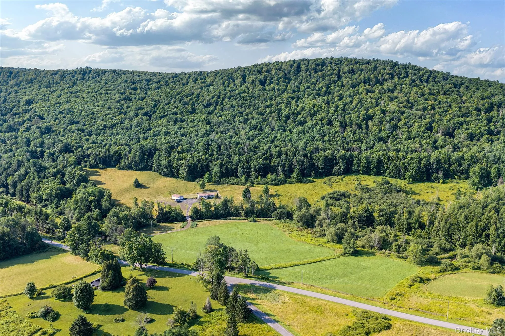Lot #11 Franklin Depot Road, Sidney, NY, ,Land,For Rent,Franklin Depot,0,1034570 Lot #11 Franklin Depot Road, Sidney, NY, ,Land,For Rent,Franklin Depot,0,1034570