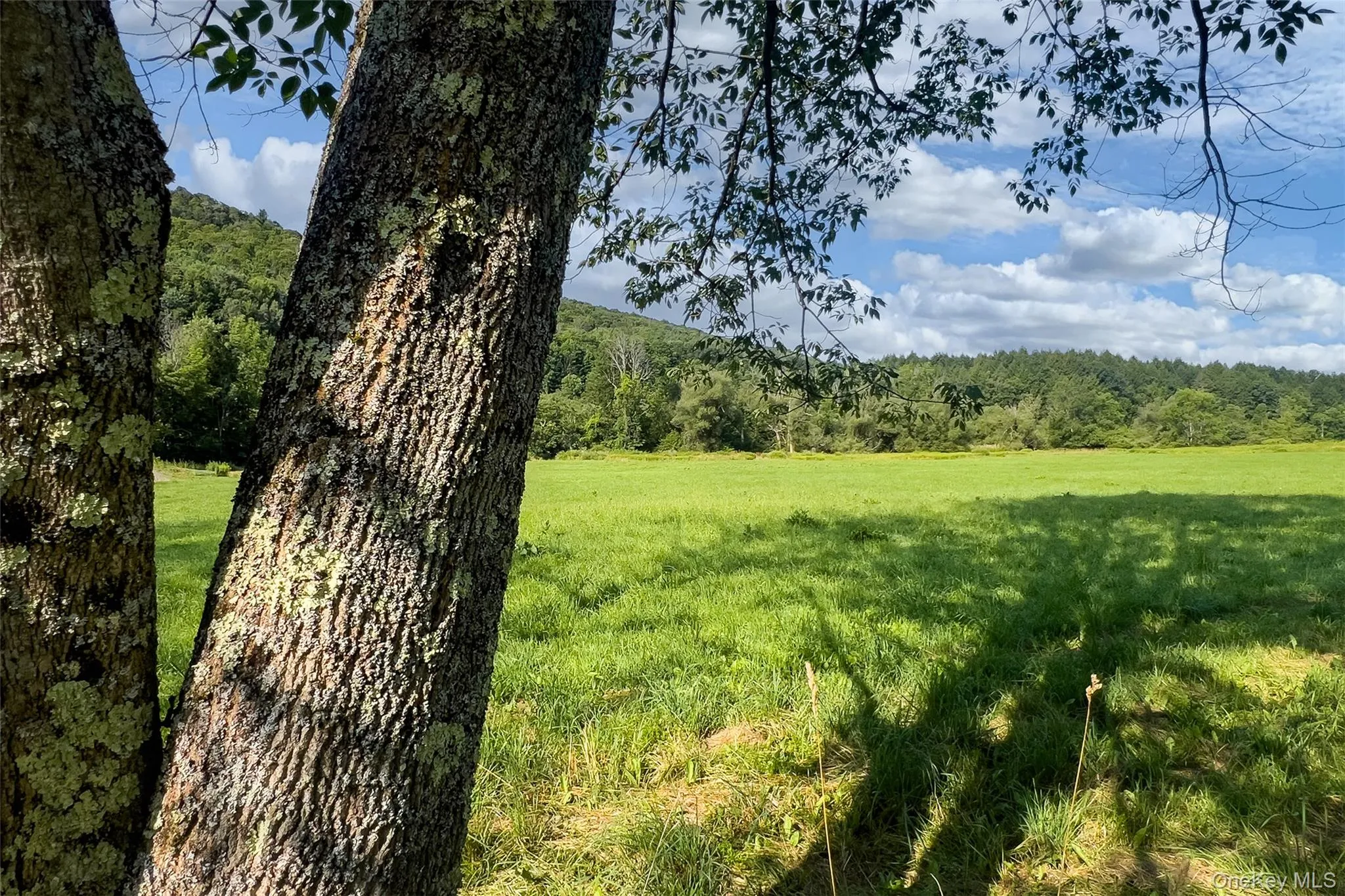 Lot #11 Franklin Depot Road, Sidney, NY, ,Land,For Rent,Franklin Depot,0,1034570 Lot #11 Franklin Depot Road, Sidney, NY, ,Land,For Rent,Franklin Depot,0,1034570
