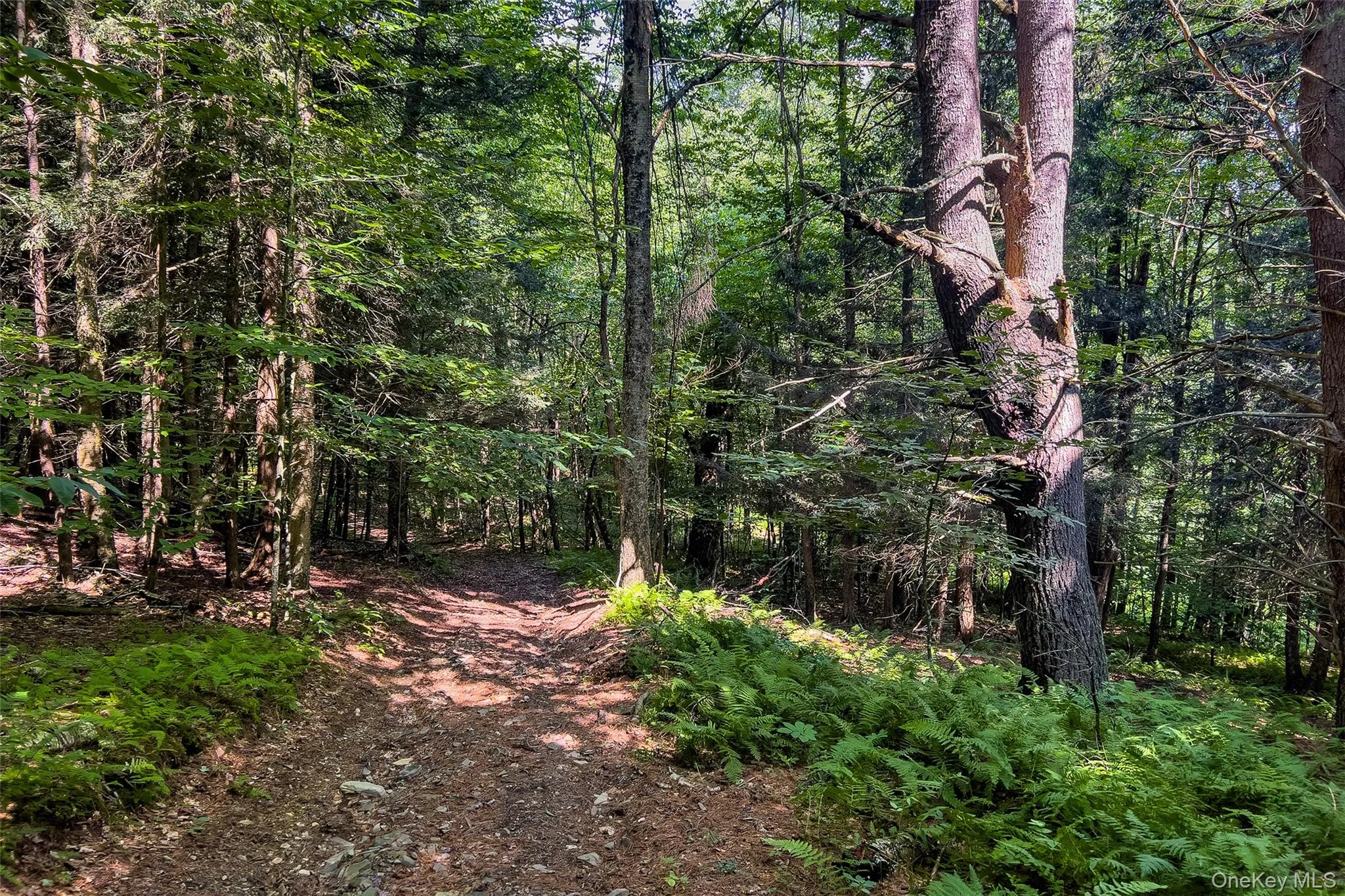 Lot #11 Franklin Depot Road, Sidney, NY, ,Land,For Rent,Franklin Depot,0,1034570 Lot #11 Franklin Depot Road, Sidney, NY, ,Land,For Rent,Franklin Depot,0,1034570