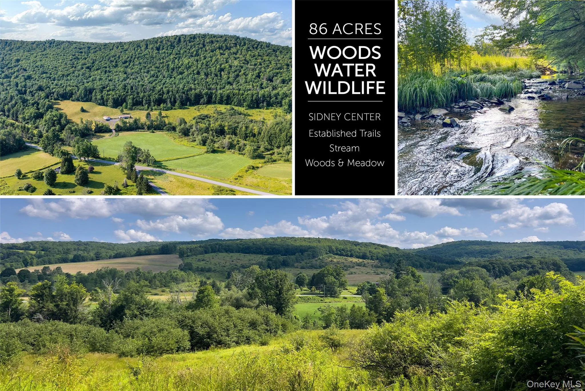 Lot #11 Franklin Depot Road, Sidney, NY, ,Land,For Rent,Franklin Depot,0,1034570 Lot #11 Franklin Depot Road, Sidney, NY, ,Land,For Rent,Franklin Depot,0,1034570