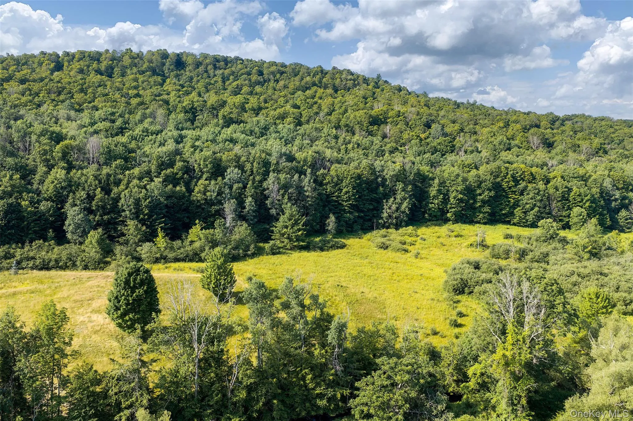 Lot #11 Franklin Depot Road, Sidney, NY, ,Land,For Rent,Franklin Depot,0,1034570 Lot #11 Franklin Depot Road, Sidney, NY, ,Land,For Rent,Franklin Depot,0,1034570