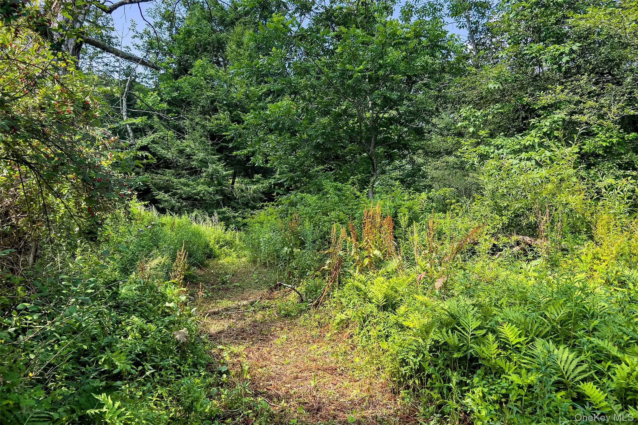 Lot #11 Franklin Depot Road, Sidney, NY, ,Land,For Rent,Franklin Depot,0,1034570 Lot #11 Franklin Depot Road, Sidney, NY, ,Land,For Rent,Franklin Depot,0,1034570