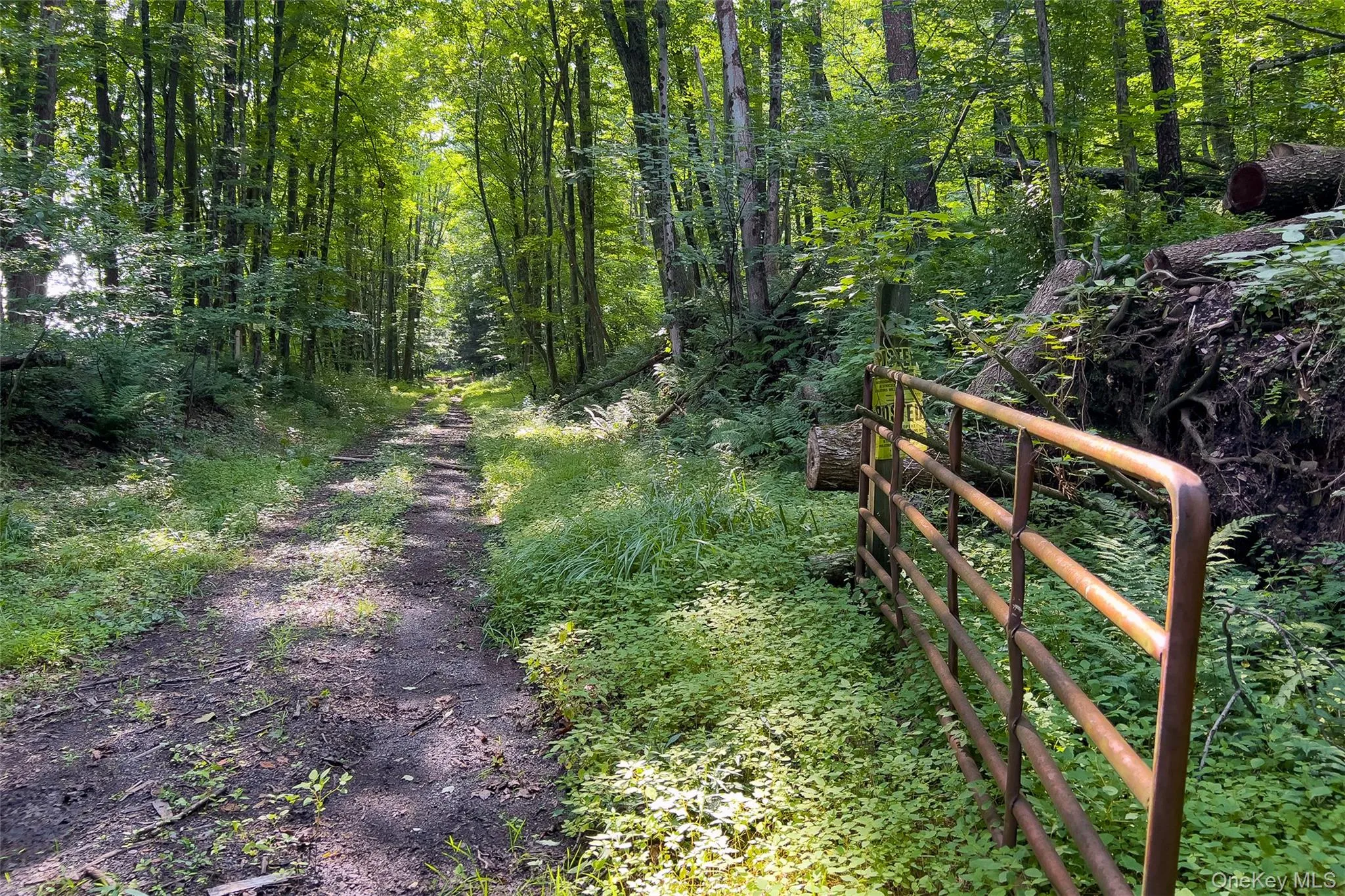 Lot #11 Franklin Depot Road, Sidney, NY, ,Land,For Rent,Franklin Depot,0,1034570 Lot #11 Franklin Depot Road, Sidney, NY, ,Land,For Rent,Franklin Depot,0,1034570