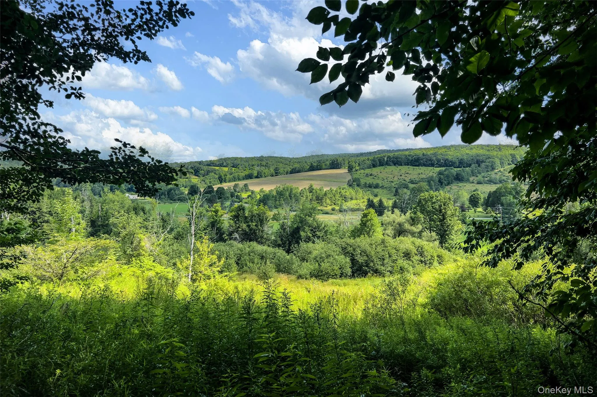 Lot #11 Franklin Depot Road, Sidney, NY, ,Land,For Rent,Franklin Depot,0,1034570 Lot #11 Franklin Depot Road, Sidney, NY, ,Land,For Rent,Franklin Depot,0,1034570