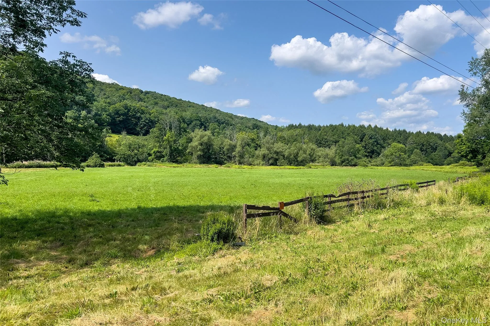 Lot #11 Franklin Depot Road, Sidney, NY, ,Land,For Rent,Franklin Depot,0,1034570 Lot #11 Franklin Depot Road, Sidney, NY, ,Land,For Rent,Franklin Depot,0,1034570