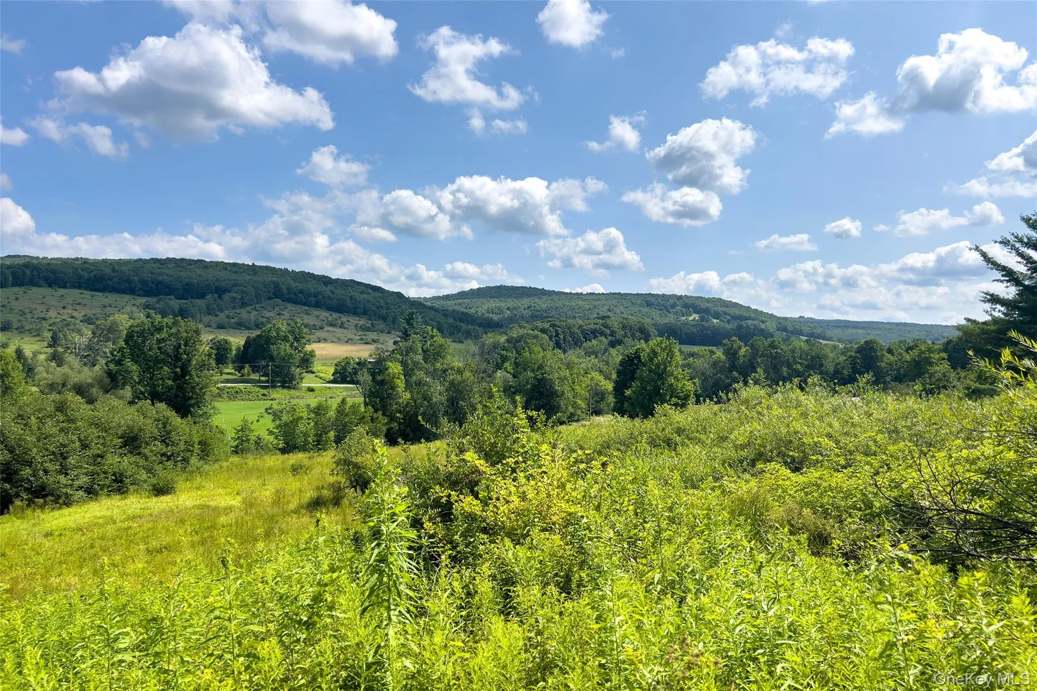 Lot #11 Franklin Depot Road, Sidney, NY, ,Land,For Rent,Franklin Depot,0,1034570 Lot #11 Franklin Depot Road, Sidney, NY, ,Land,For Rent,Franklin Depot,0,1034570