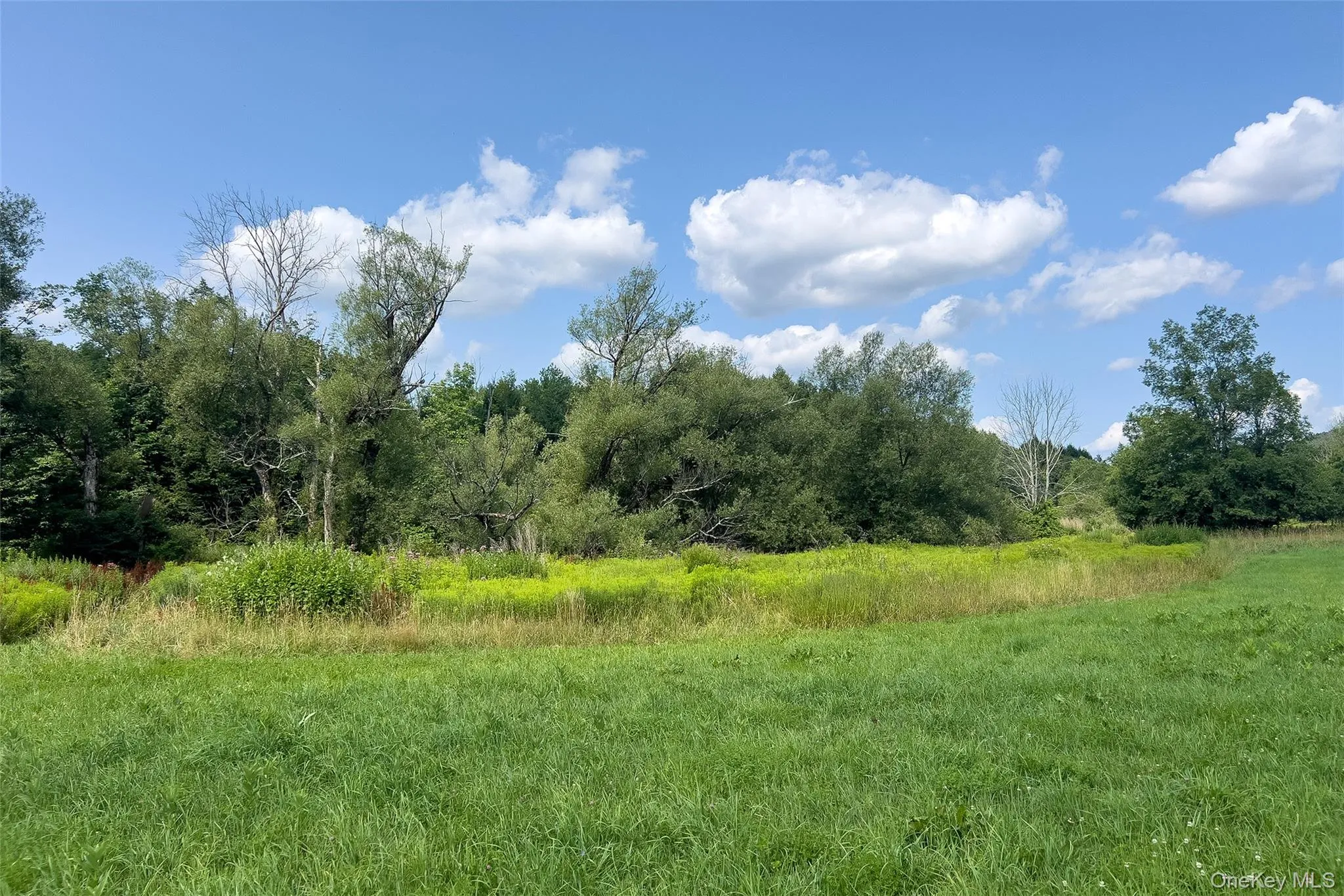 Lot #11 Franklin Depot Road, Sidney, NY, ,Land,For Rent,Franklin Depot,0,1034570 Lot #11 Franklin Depot Road, Sidney, NY, ,Land,For Rent,Franklin Depot,0,1034570