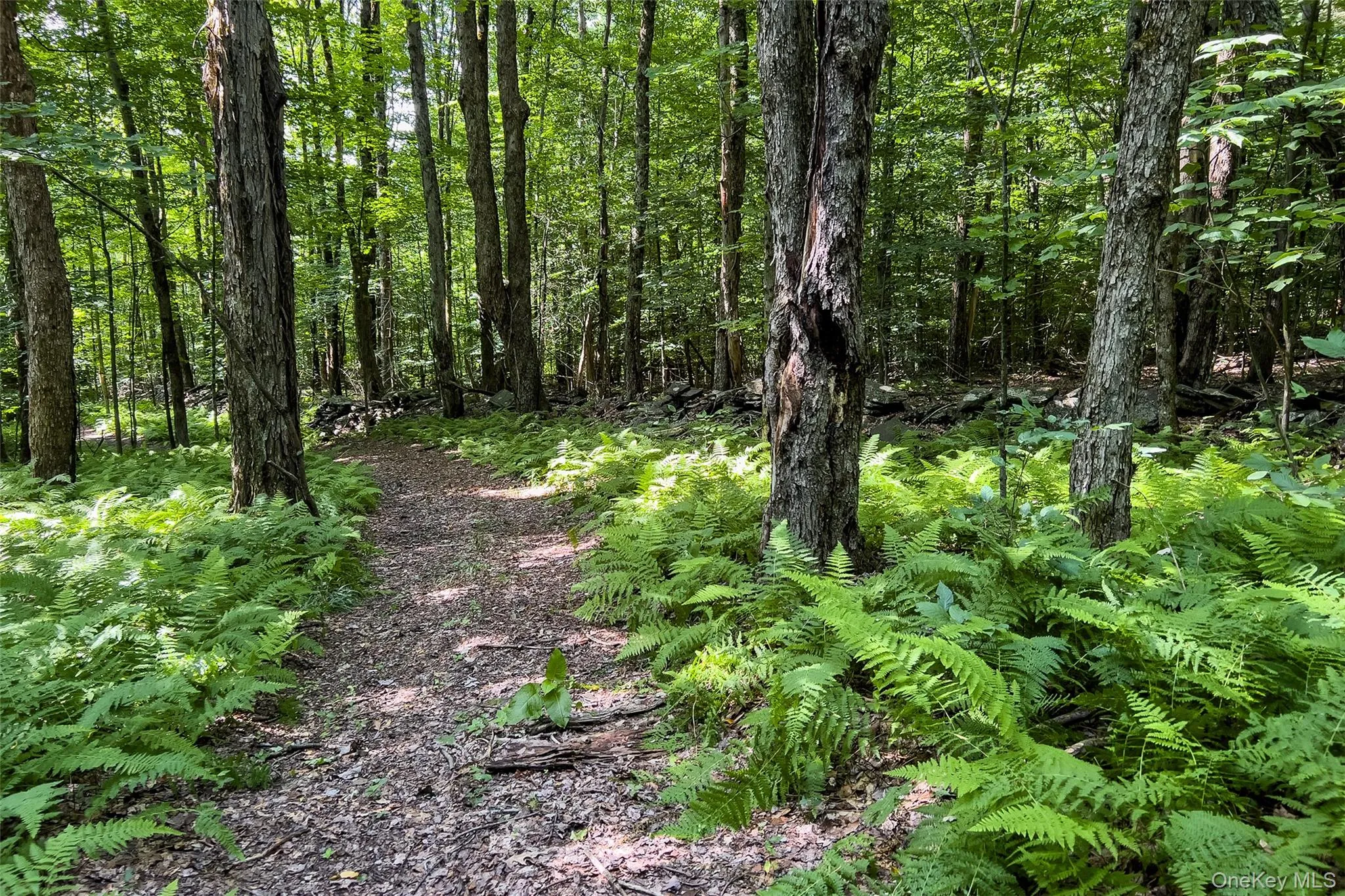 Lot #11 Franklin Depot Road, Sidney, NY, ,Land,For Rent,Franklin Depot,0,1034570 Lot #11 Franklin Depot Road, Sidney, NY, ,Land,For Rent,Franklin Depot,0,1034570