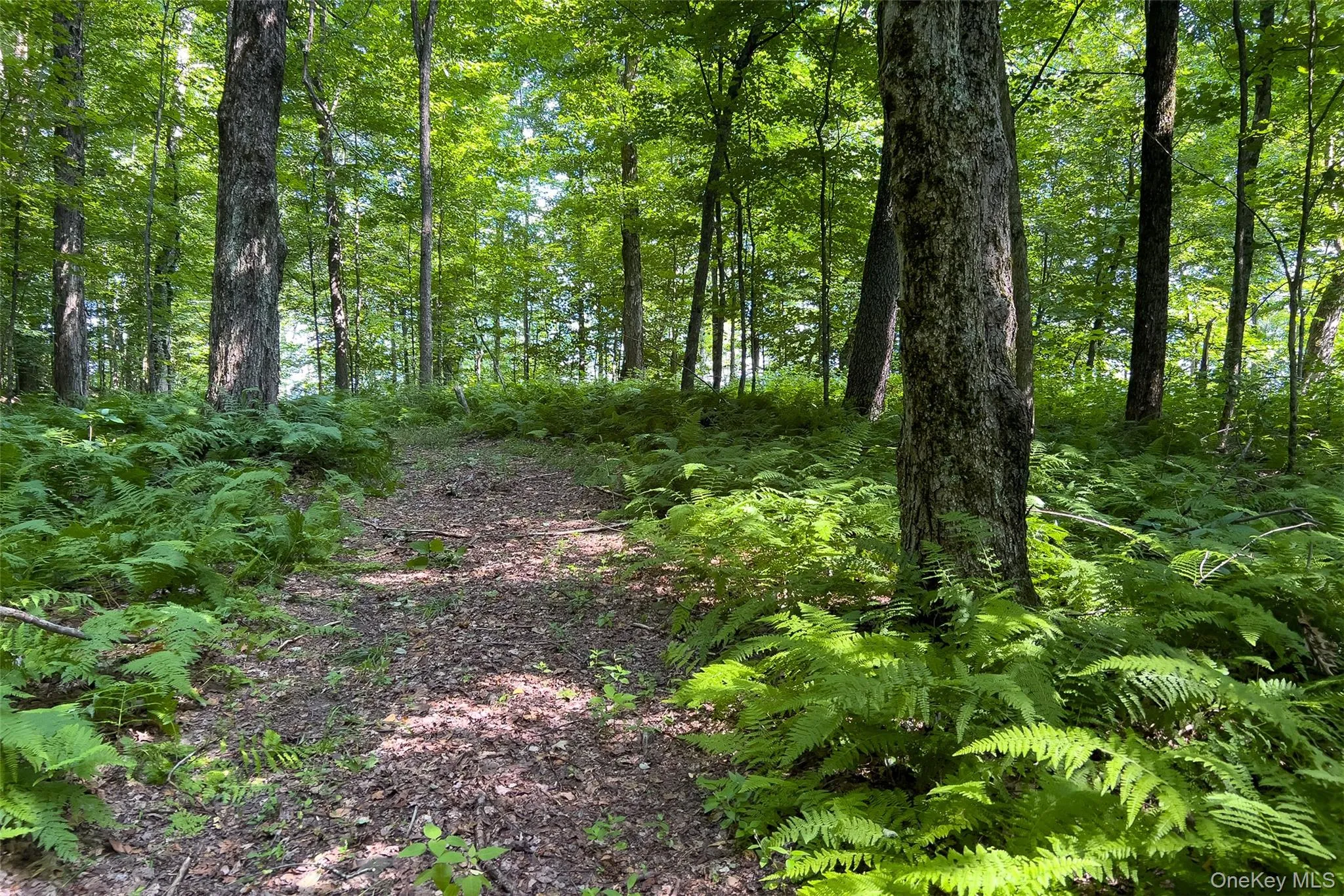 Lot #11 Franklin Depot Road, Sidney, NY, ,Land,For Rent,Franklin Depot,0,1034570 Lot #11 Franklin Depot Road, Sidney, NY, ,Land,For Rent,Franklin Depot,0,1034570