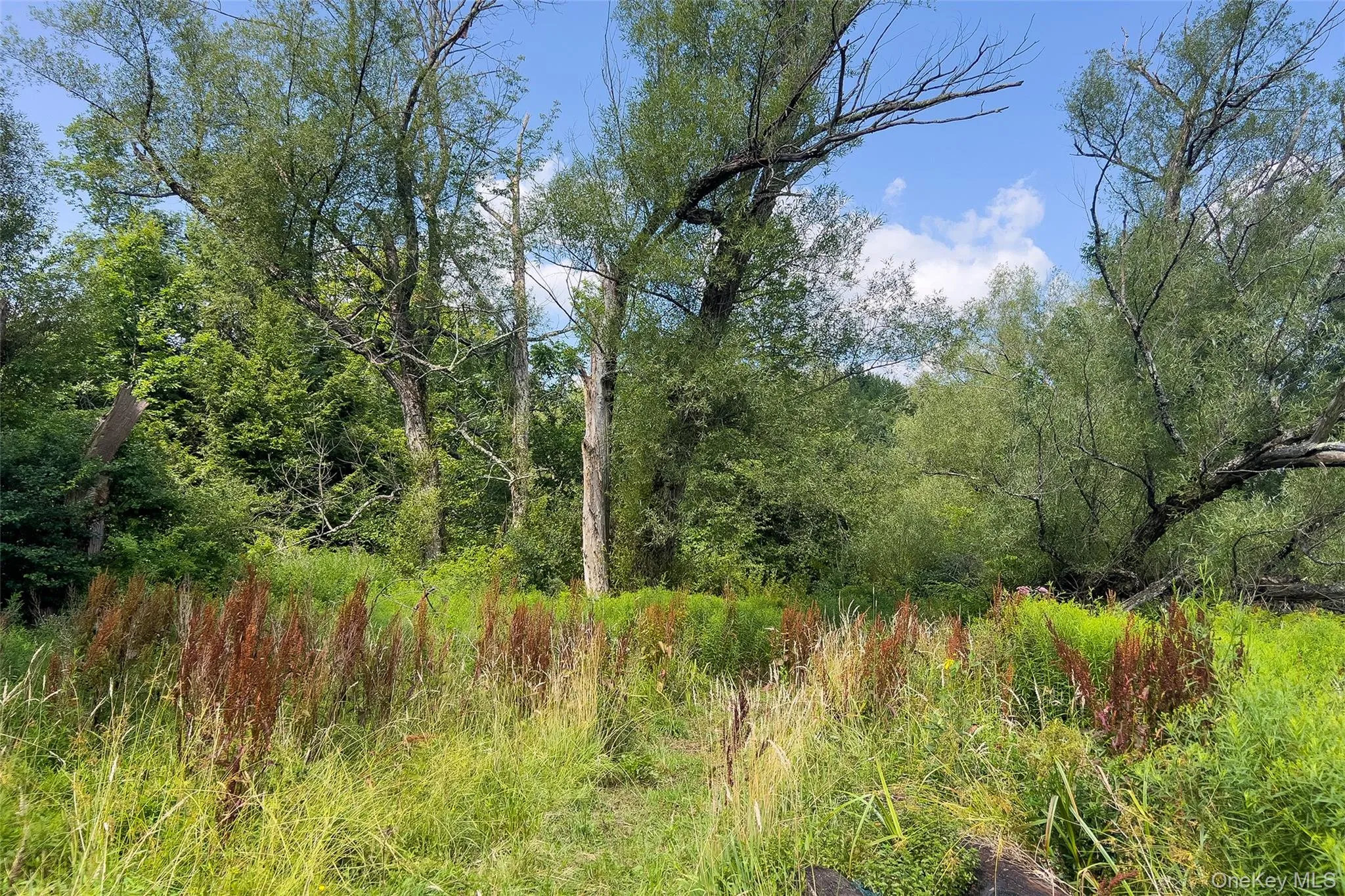 Lot #11 Franklin Depot Road, Sidney, NY, ,Land,For Rent,Franklin Depot,0,1034570 Lot #11 Franklin Depot Road, Sidney, NY, ,Land,For Rent,Franklin Depot,0,1034570