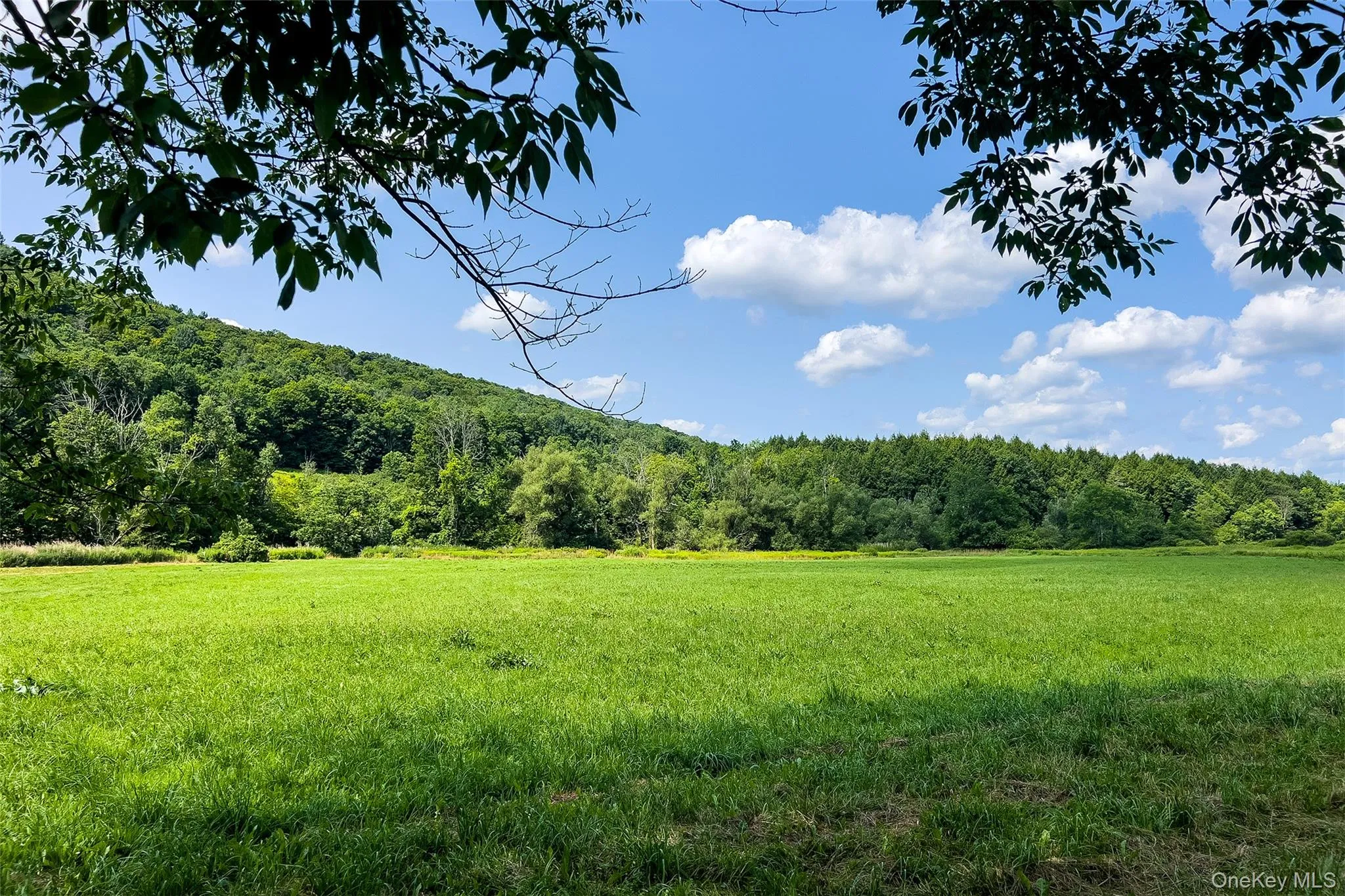 Lot #11 Franklin Depot Road, Sidney, NY, ,Land,For Rent,Franklin Depot,0,1034570 Lot #11 Franklin Depot Road, Sidney, NY, ,Land,For Rent,Franklin Depot,0,1034570