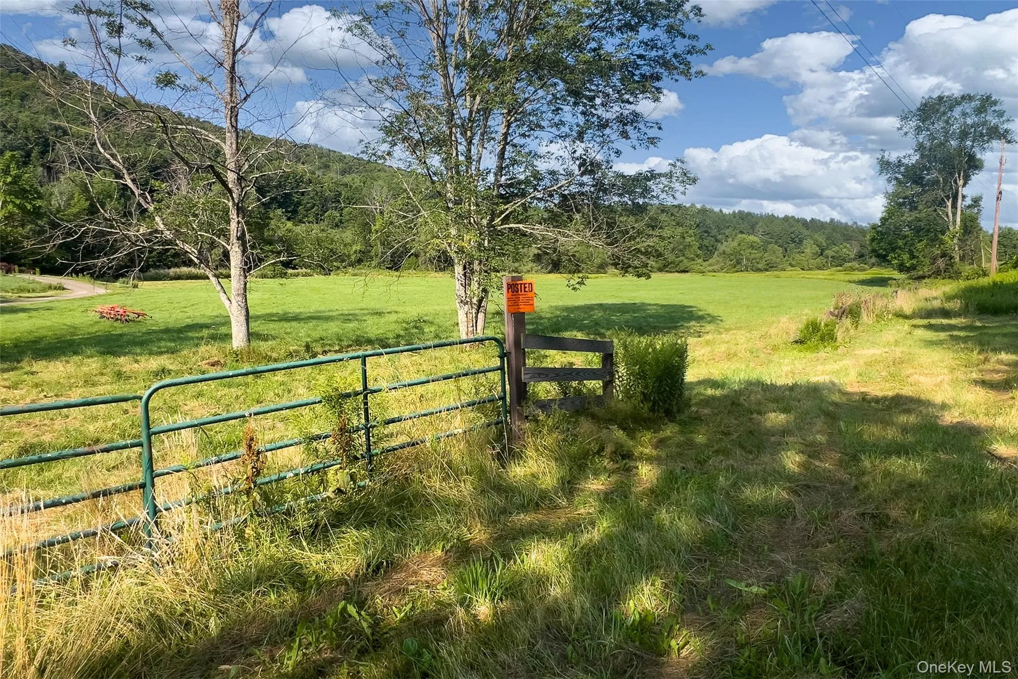 Lot #11 Franklin Depot Road, Sidney, NY, ,Land,For Rent,Franklin Depot,0,1034570 Lot #11 Franklin Depot Road, Sidney, NY, ,Land,For Rent,Franklin Depot,0,1034570