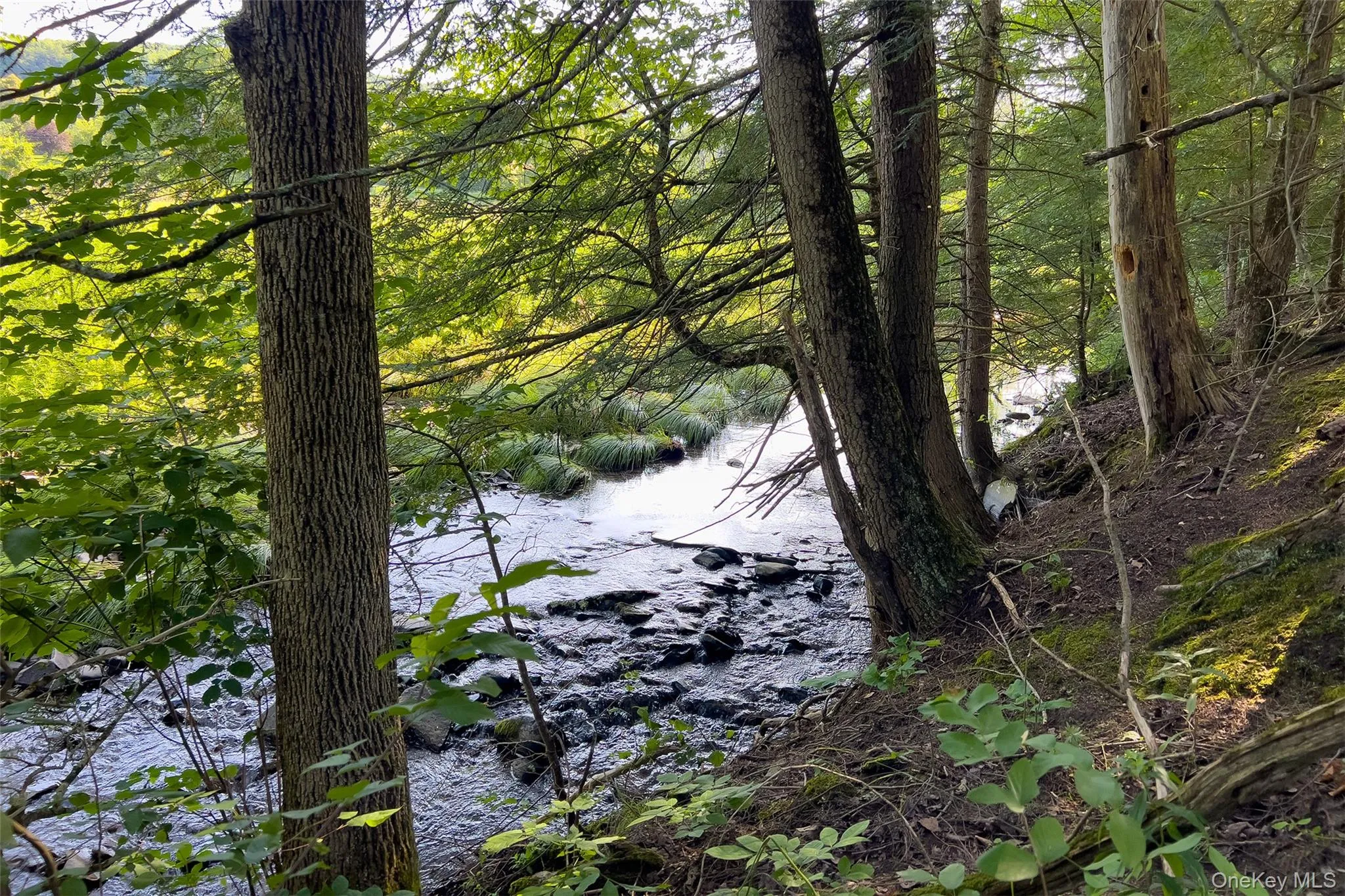 Lot #11 Franklin Depot Road, Sidney, NY, ,Land,For Rent,Franklin Depot,0,1034570 Lot #11 Franklin Depot Road, Sidney, NY, ,Land,For Rent,Franklin Depot,0,1034570