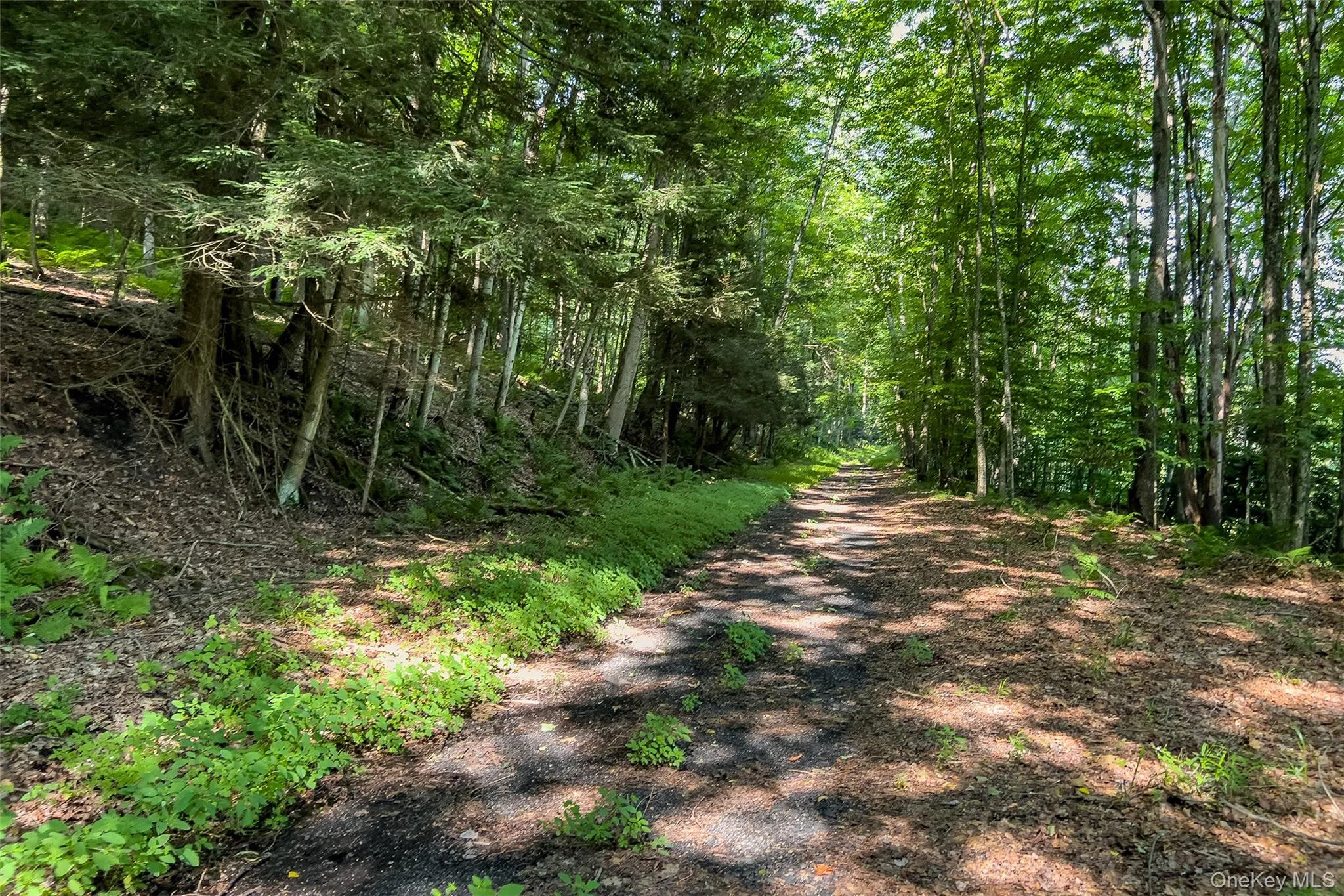 Lot #11 Franklin Depot Road, Sidney, NY, ,Land,For Rent,Franklin Depot,0,1034570 Lot #11 Franklin Depot Road, Sidney, NY, ,Land,For Rent,Franklin Depot,0,1034570