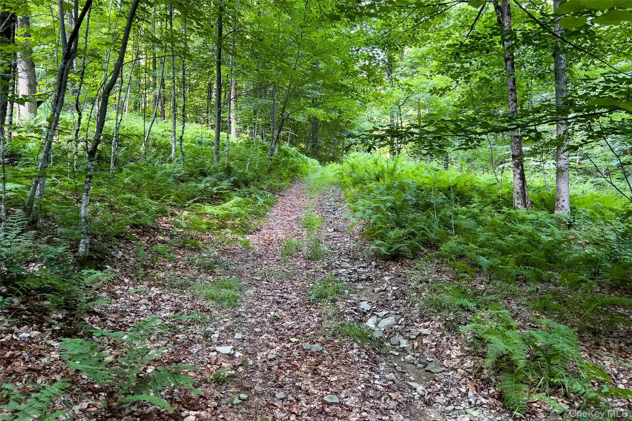 Lot #11 Franklin Depot Road, Sidney, NY, ,Land,For Rent,Franklin Depot,0,1034570 Lot #11 Franklin Depot Road, Sidney, NY, ,Land,For Rent,Franklin Depot,0,1034570