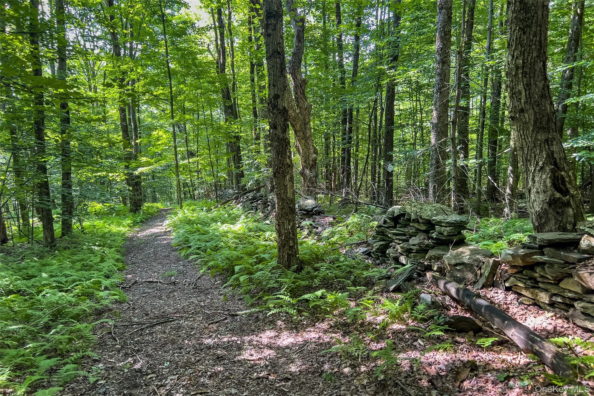 Lot #11 Franklin Depot Road, Sidney, NY, ,Land,For Rent,Franklin Depot,0,1034570 Lot #11 Franklin Depot Road, Sidney, NY, ,Land,For Rent,Franklin Depot,0,1034570