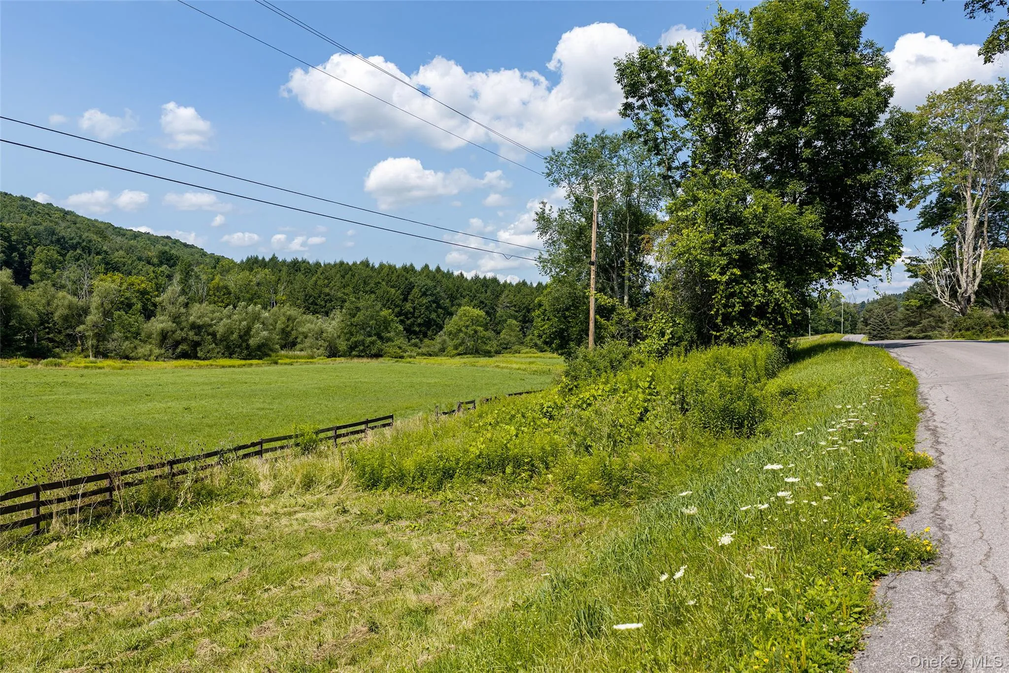Lot #11 Franklin Depot Road, Sidney, NY, ,Land,For Rent,Franklin Depot,0,1034570 Lot #11 Franklin Depot Road, Sidney, NY, ,Land,For Rent,Franklin Depot,0,1034570