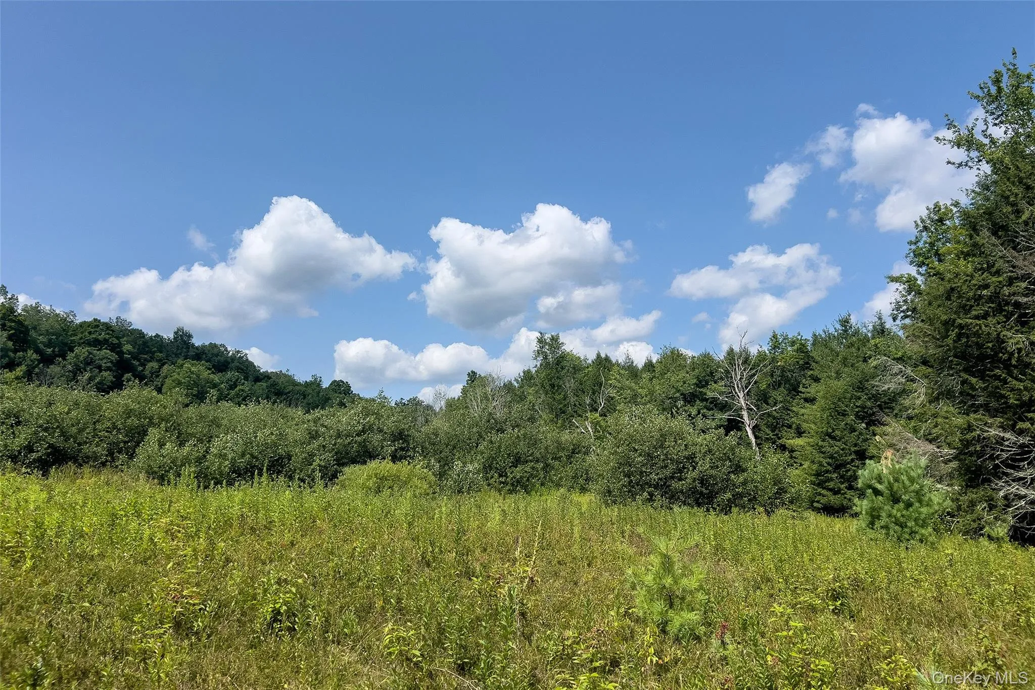 Lot #11 Franklin Depot Road, Sidney, NY, ,Land,For Rent,Franklin Depot,0,1034570 Lot #11 Franklin Depot Road, Sidney, NY, ,Land,For Rent,Franklin Depot,0,1034570