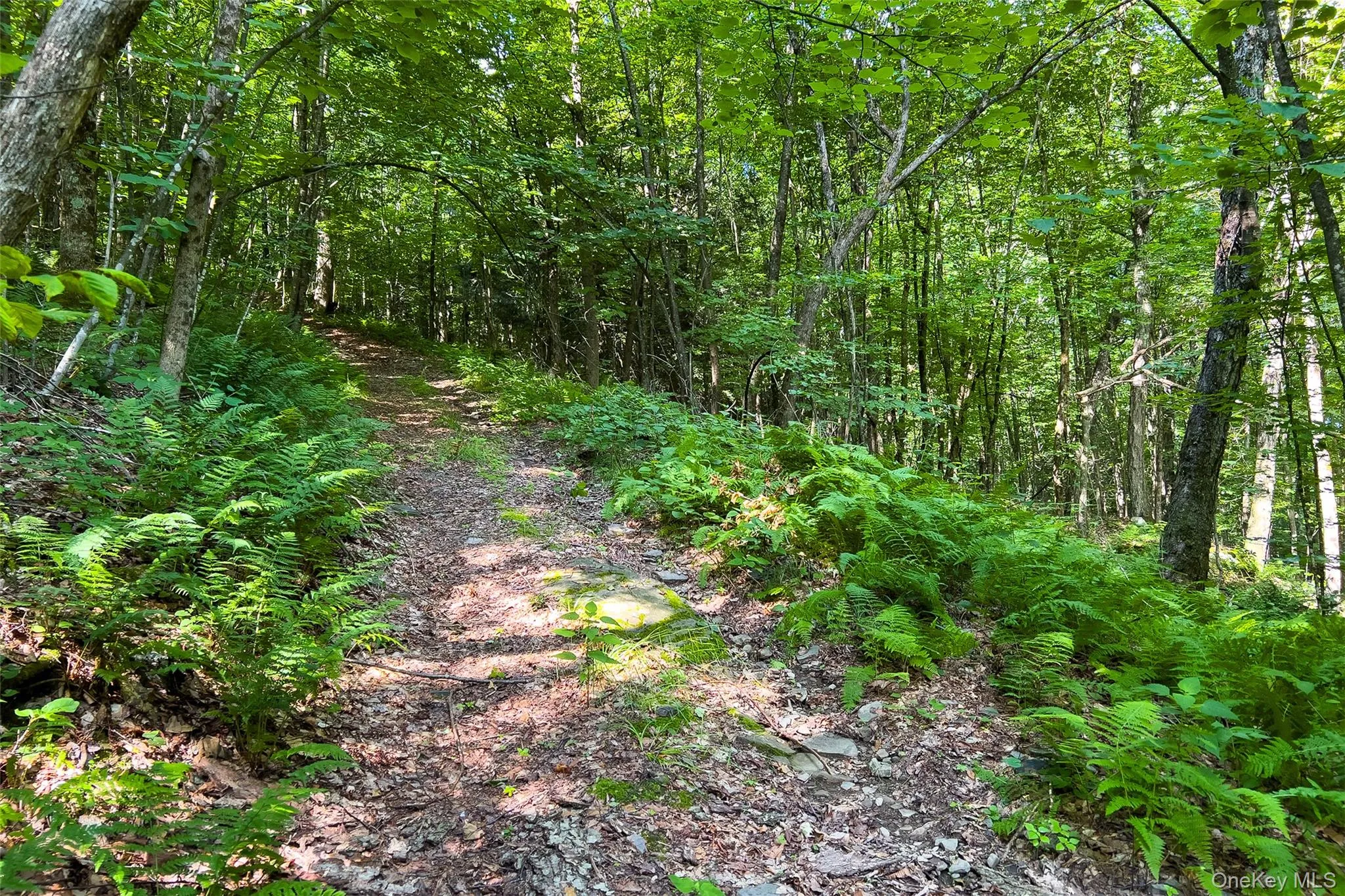 Lot #11 Franklin Depot Road, Sidney, NY, ,Land,For Rent,Franklin Depot,0,1034570 Lot #11 Franklin Depot Road, Sidney, NY, ,Land,For Rent,Franklin Depot,0,1034570