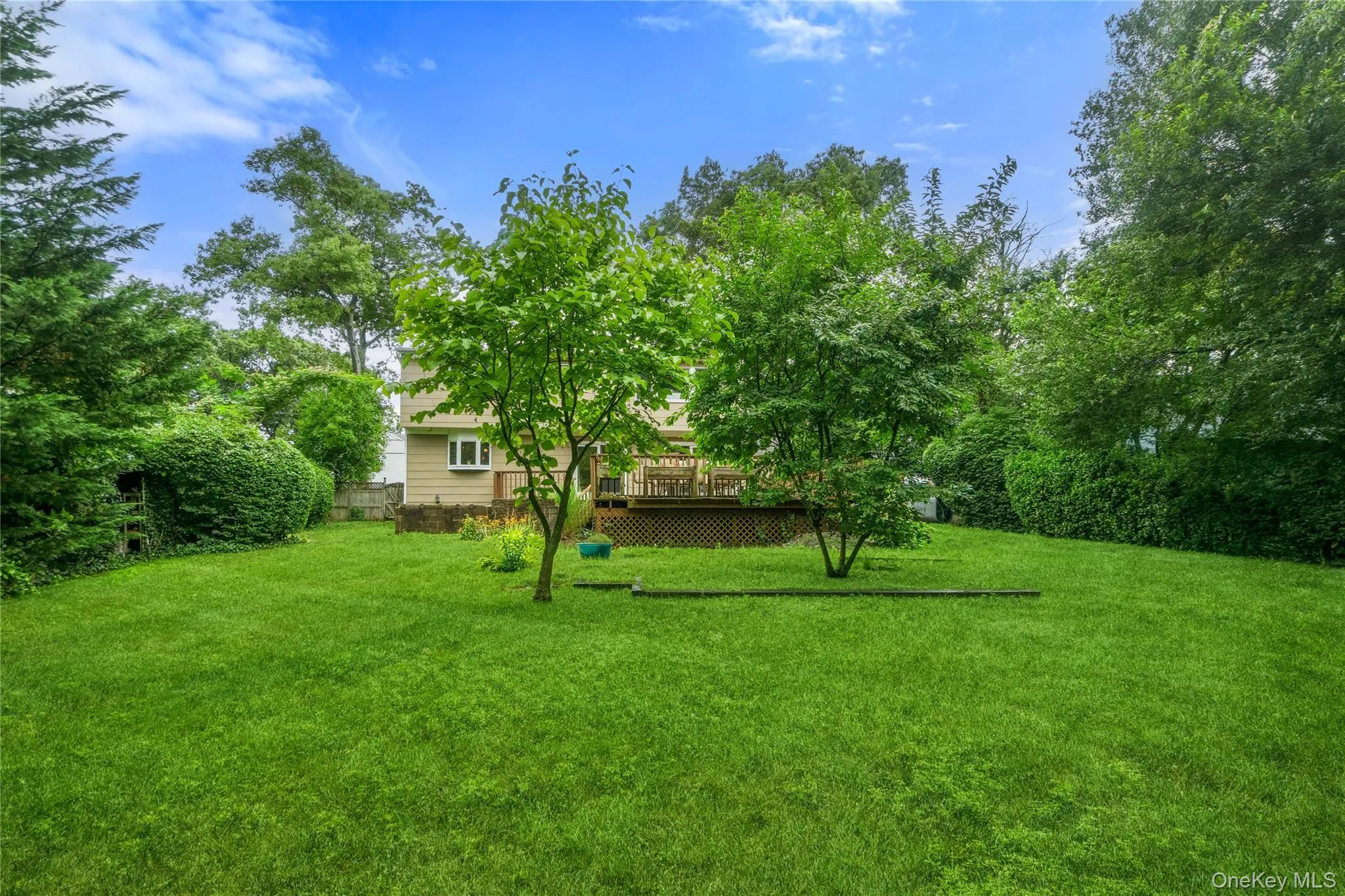 Large Backyard Large Backyard