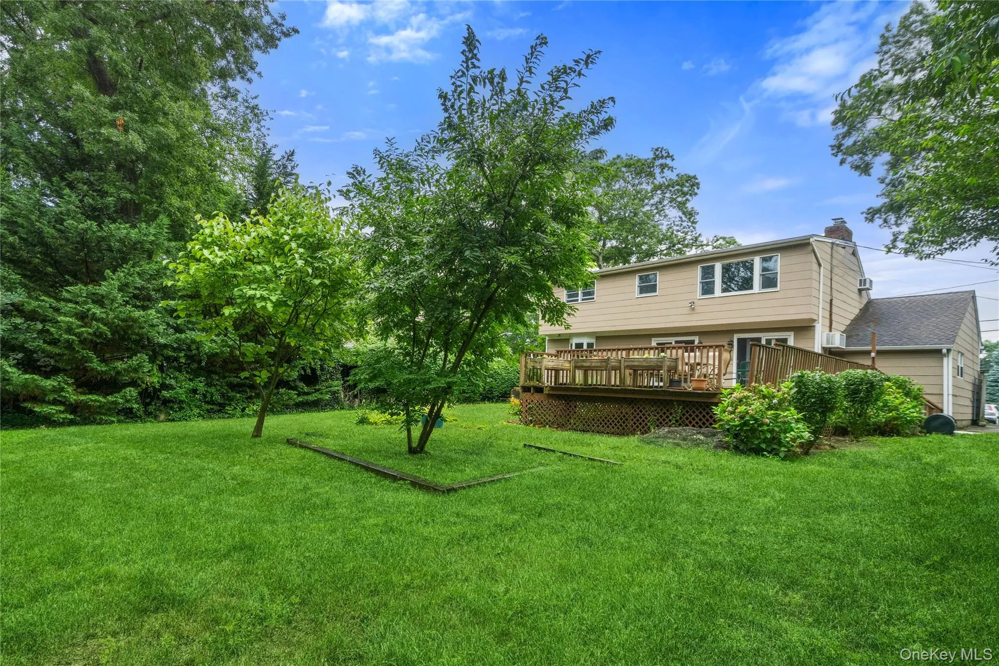 Large Backyard Large Backyard