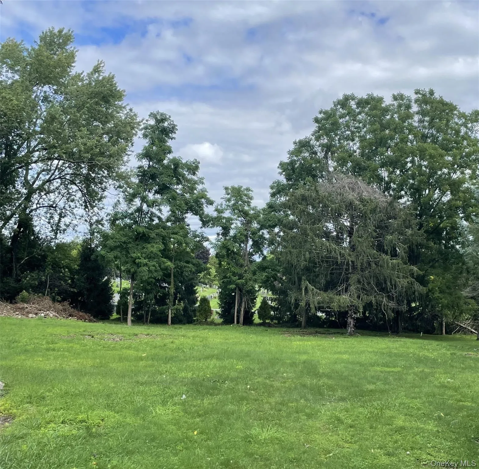 149 Jackson Street, Fishkill, NY, 3 Bedrooms Bedrooms, 6 Rooms Rooms,1 BathroomBathrooms,Residential,For Rent,Jackson,0,1034609 149 Jackson Street, Fishkill, NY, 3 Bedrooms Bedrooms, 6 Rooms Rooms,1 BathroomBathrooms,Residential,For Rent,Jackson,0,1034609