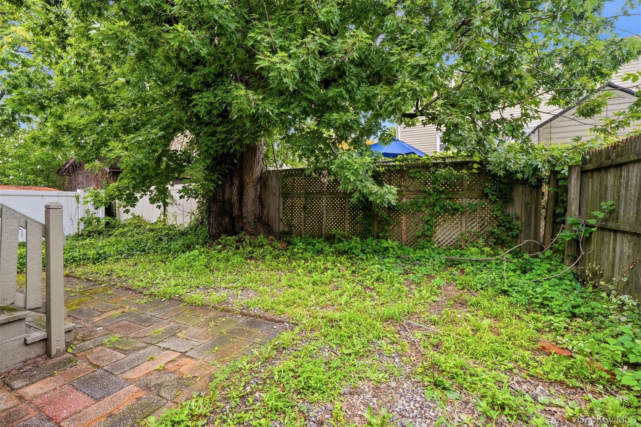215 Demorest Avenue, New York, NY, 4 Bedrooms Bedrooms, 9 Rooms Rooms,2 BathroomsBathrooms,Residential,For Rent,Demorest,0,1034610 215 Demorest Avenue, New York, NY, 4 Bedrooms Bedrooms, 9 Rooms Rooms,2 BathroomsBathrooms,Residential,For Rent,Demorest,0,1034610