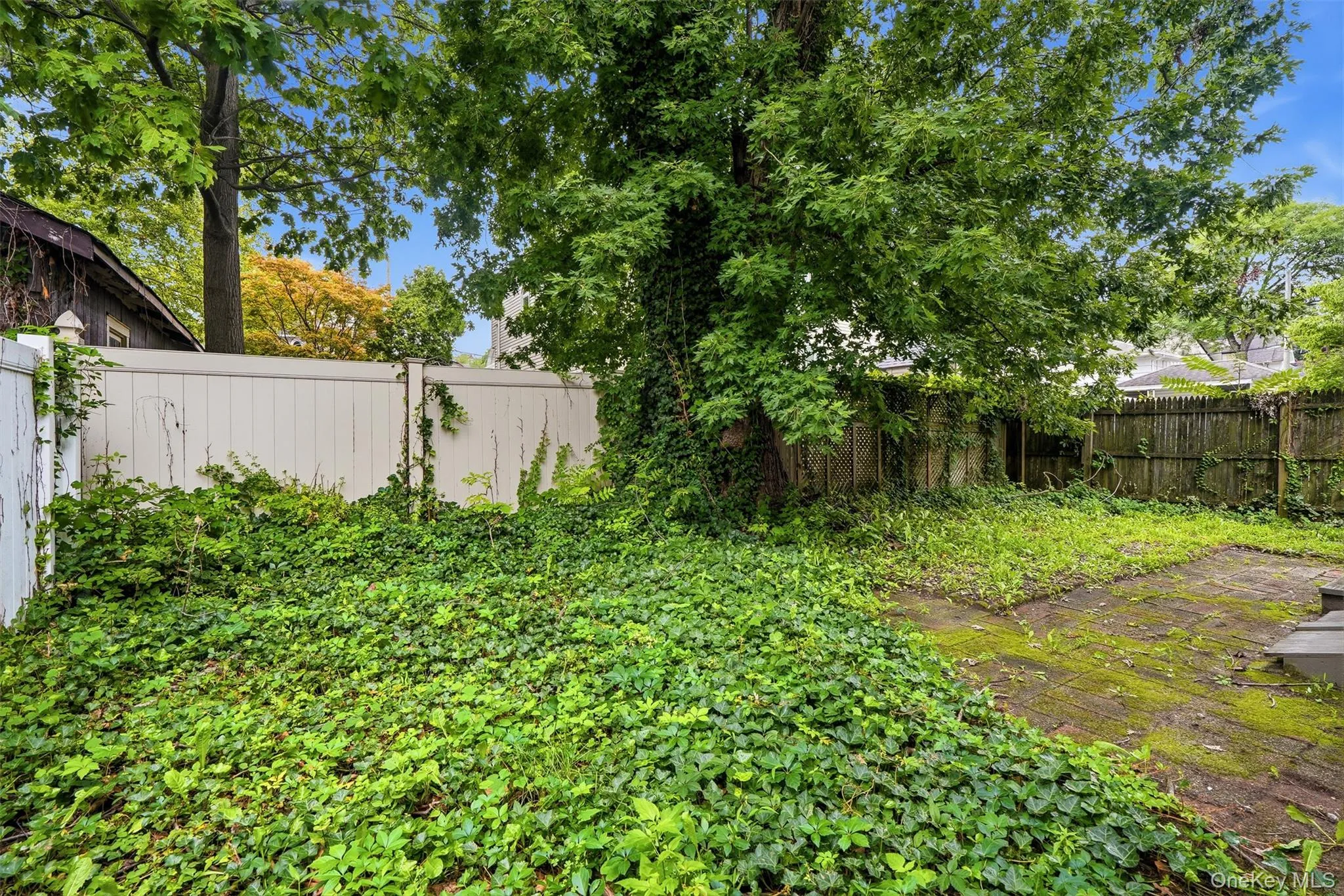 215 Demorest Avenue, New York, NY, 4 Bedrooms Bedrooms, 9 Rooms Rooms,2 BathroomsBathrooms,Residential,For Rent,Demorest,0,1034610 215 Demorest Avenue, New York, NY, 4 Bedrooms Bedrooms, 9 Rooms Rooms,2 BathroomsBathrooms,Residential,For Rent,Demorest,0,1034610