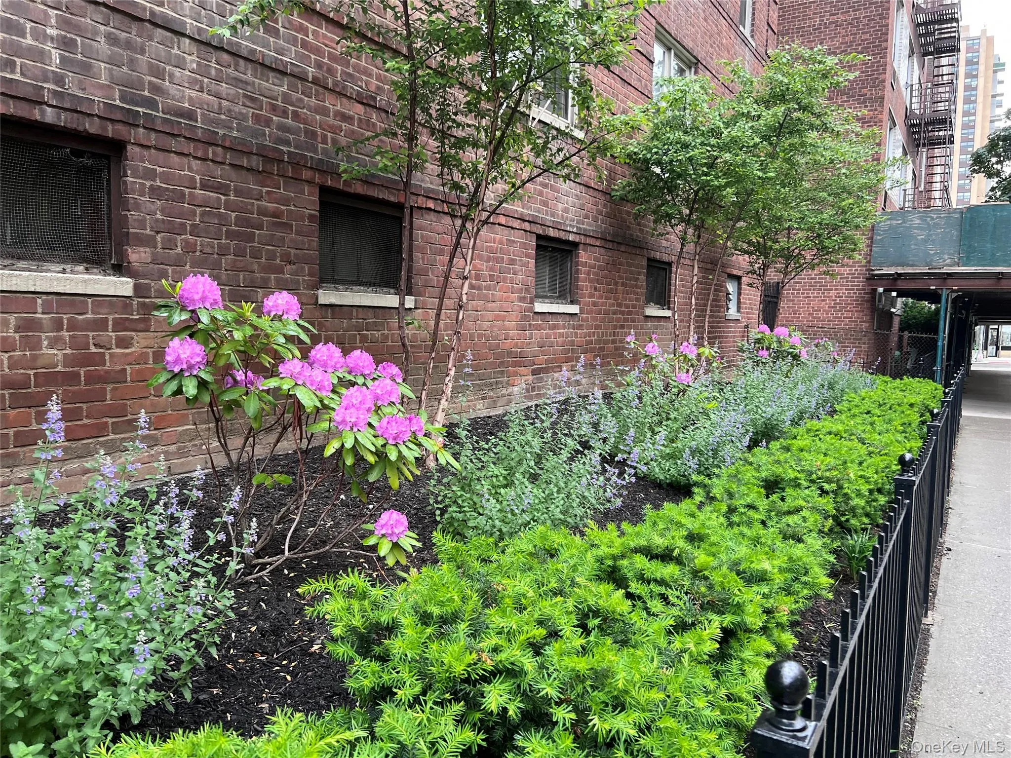2080 Barnes Avenue, New York, NY, 2 Bedrooms Bedrooms, 5 Rooms Rooms,1 BathroomBathrooms,Residential,For Rent,Barnes,0,1034613 2080 Barnes Avenue, New York, NY, 2 Bedrooms Bedrooms, 5 Rooms Rooms,1 BathroomBathrooms,Residential,For Rent,Barnes,0,1034613