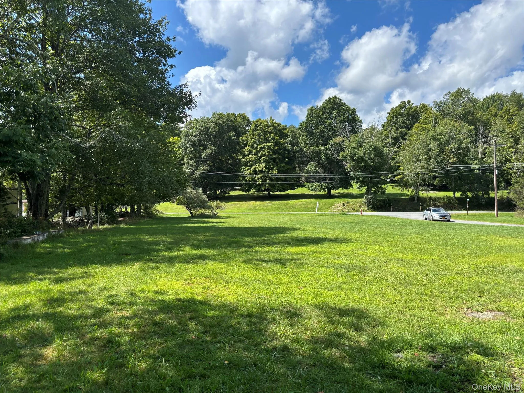 Expansive green landscape featuring mature trees Expansive green landscape featuring mature trees