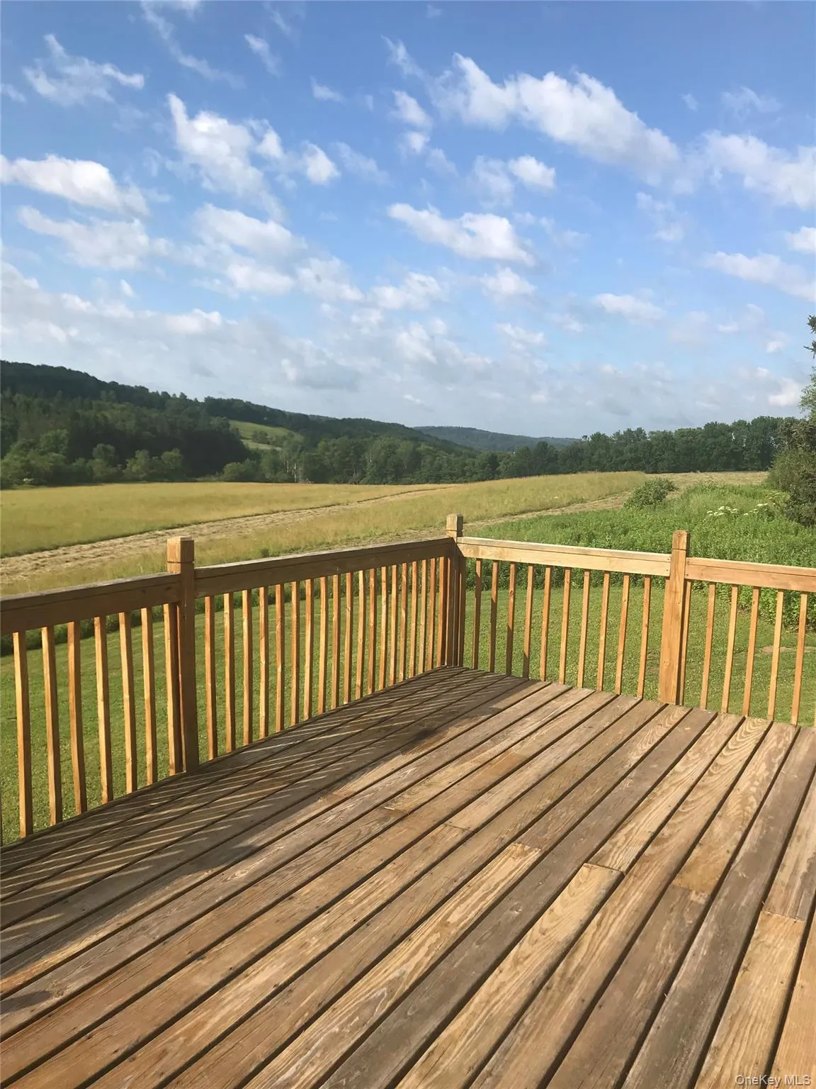 2614 Turnpike Road, Meredith, NY, 4 Bedrooms Bedrooms, 5 Rooms Rooms,1 BathroomBathrooms,Residential,For Rent,Turnpike,0,1034617 2614 Turnpike Road, Meredith, NY, 4 Bedrooms Bedrooms, 5 Rooms Rooms,1 BathroomBathrooms,Residential,For Rent,Turnpike,0,1034617