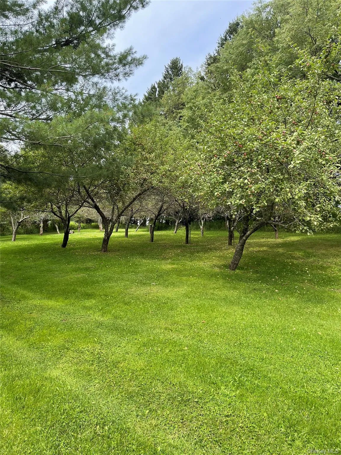 2614 Turnpike Road, Meredith, NY, 4 Bedrooms Bedrooms, 5 Rooms Rooms,1 BathroomBathrooms,Residential,For Rent,Turnpike,0,1034617 2614 Turnpike Road, Meredith, NY, 4 Bedrooms Bedrooms, 5 Rooms Rooms,1 BathroomBathrooms,Residential,For Rent,Turnpike,0,1034617