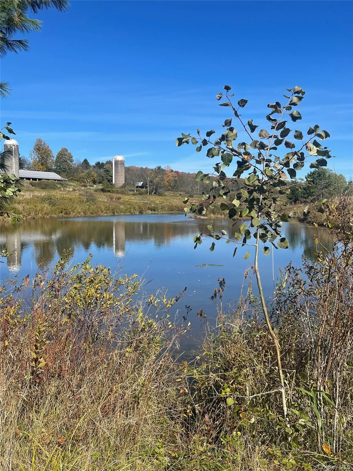2614 Turnpike Road, Meredith, NY, 4 Bedrooms Bedrooms, 5 Rooms Rooms,1 BathroomBathrooms,Residential,For Rent,Turnpike,0,1034617 2614 Turnpike Road, Meredith, NY, 4 Bedrooms Bedrooms, 5 Rooms Rooms,1 BathroomBathrooms,Residential,For Rent,Turnpike,0,1034617