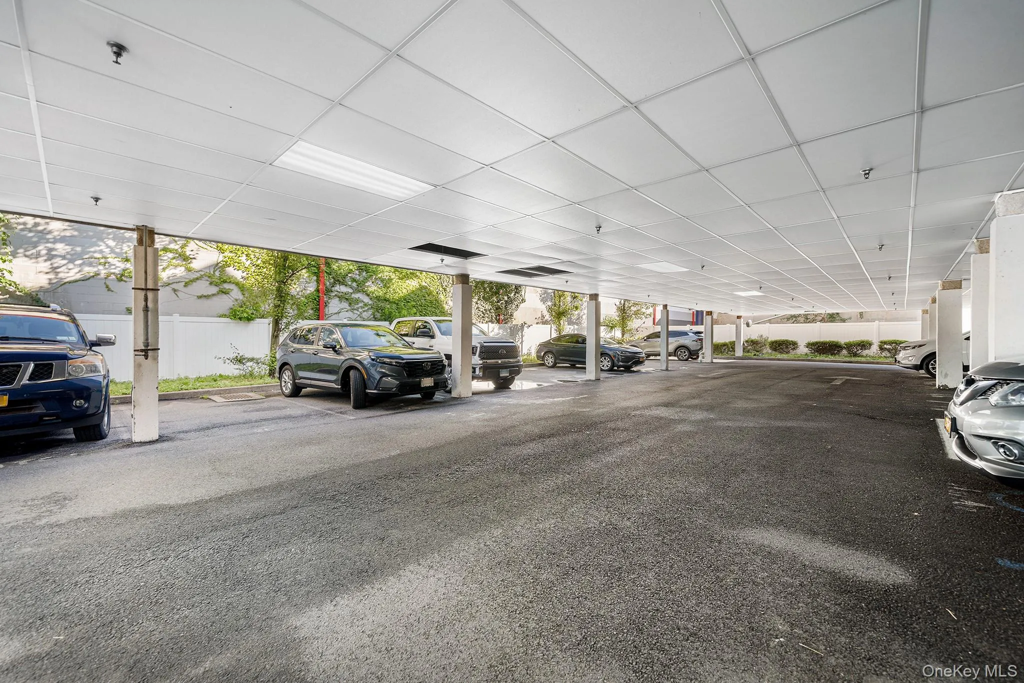 5 Minerva Place, White Plains, NY, 2 Bedrooms Bedrooms, 4 Rooms Rooms,1 BathroomBathrooms,Residential,For Rent,Minerva,0,1034626 5 Minerva Place, White Plains, NY, 2 Bedrooms Bedrooms, 4 Rooms Rooms,1 BathroomBathrooms,Residential,For Rent,Minerva,0,1034626