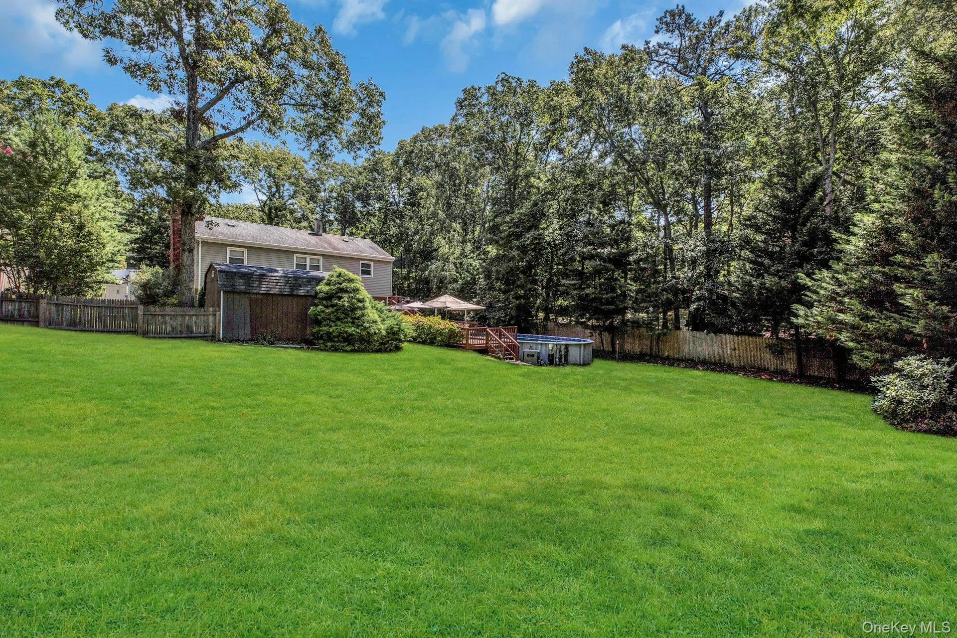 Expansive green lawn with a wooden privacy fence bordering mature trees Expansive green lawn with a wooden privacy fence bordering mature trees
