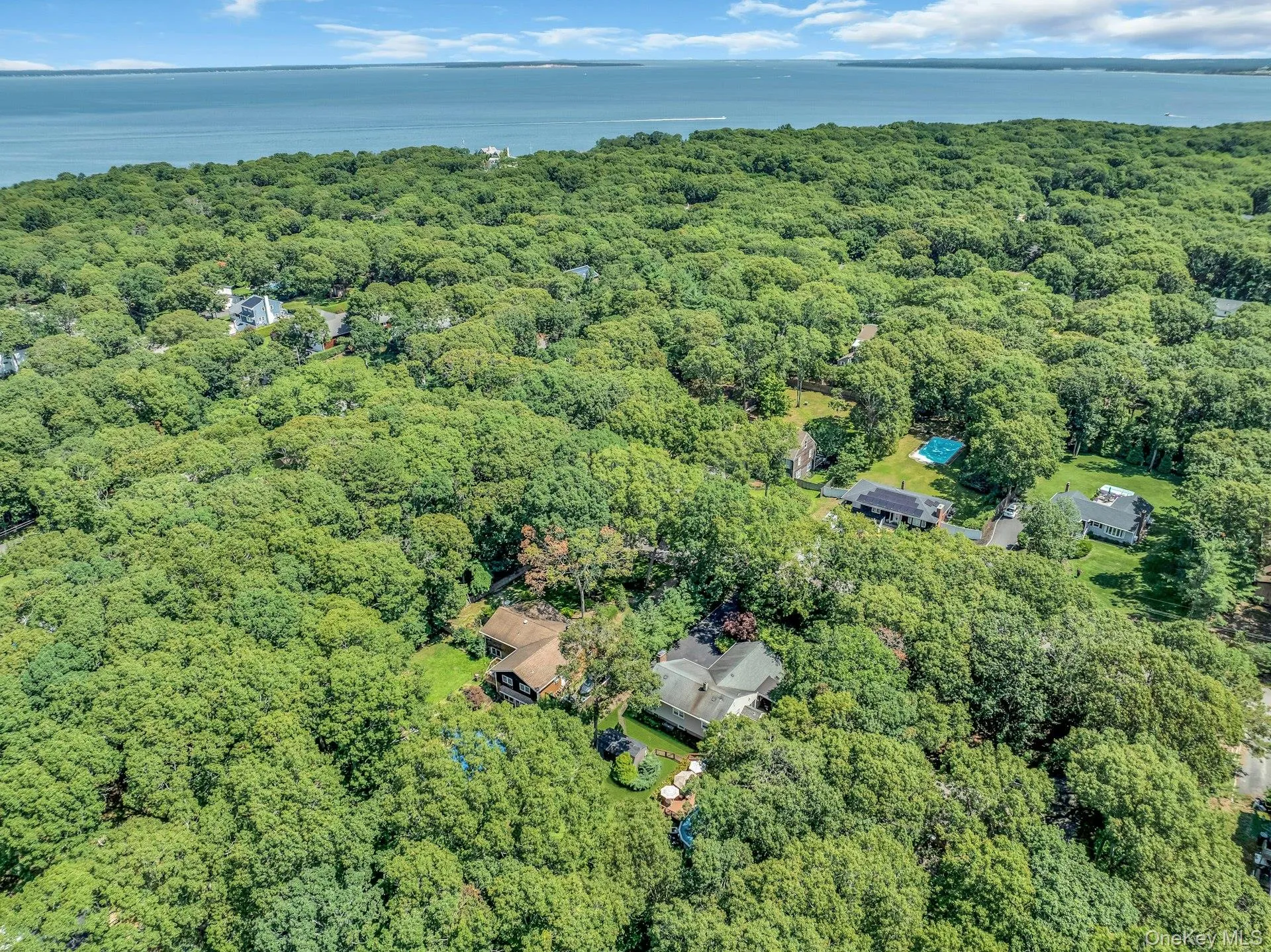 Wooded estate nestled on lush, mature grounds with expansive tree canopy Wooded estate nestled on lush, mature grounds with expansive tree canopy