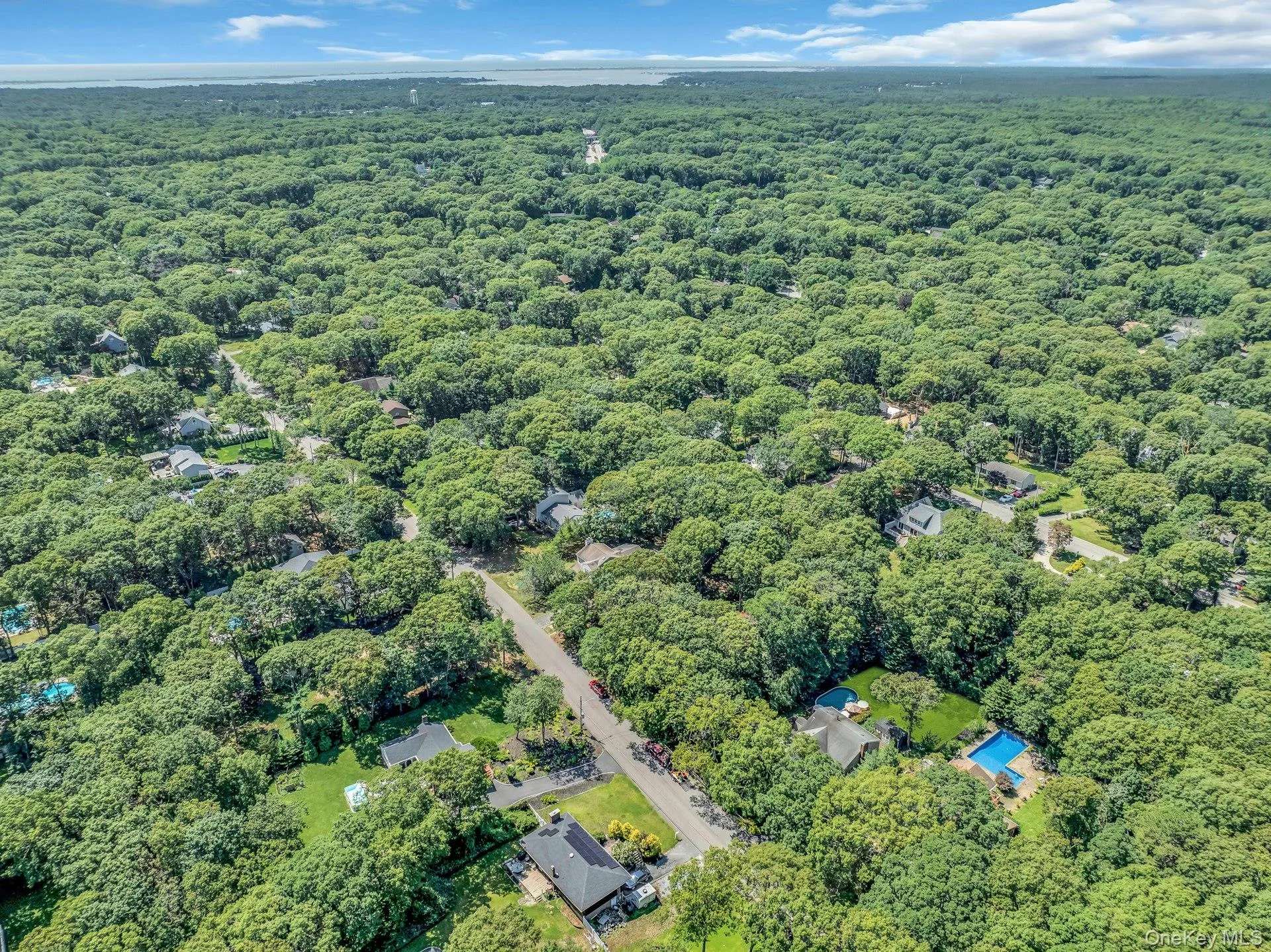 Sprawling wooded estate featuring multiple residences nestled among mature trees, private driveways, and expansive grounds Sprawling wooded estate featuring multiple residences nestled among mature trees, private driveways, and expansive grounds