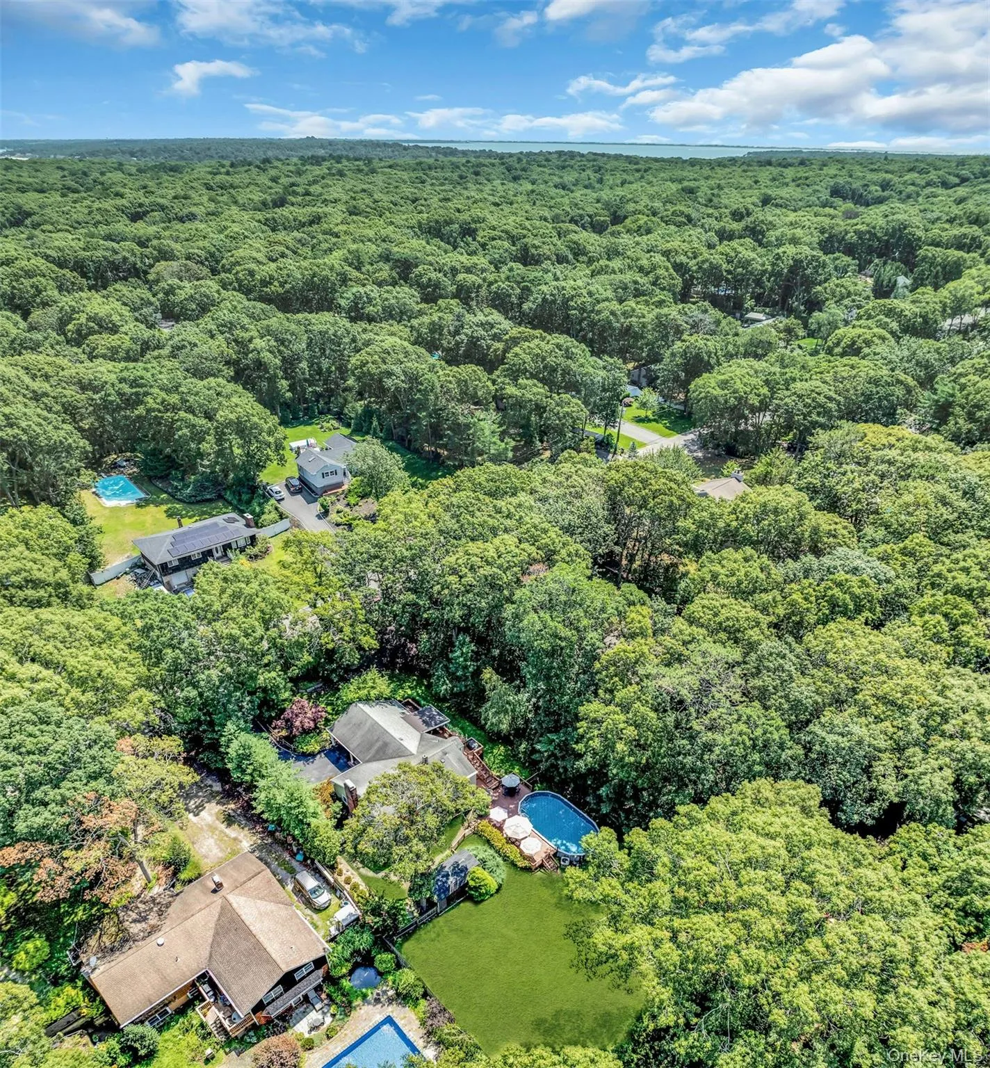 Sprawling wooded estate featuring multiple residences nestled throughout mature tree canopy Sprawling wooded estate featuring multiple residences nestled throughout mature tree canopy