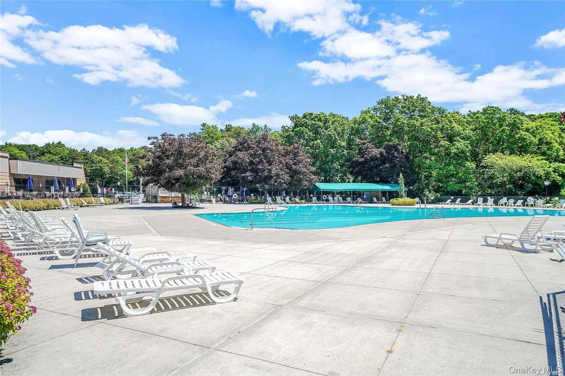 452 Birchwood Road, Brookhaven, NY, 1 Bedroom Bedrooms, 4 Rooms Rooms,1 BathroomBathrooms,Residential,For Rent,Birchwood Road,0,1034641 452 Birchwood Road, Brookhaven, NY, 1 Bedroom Bedrooms, 4 Rooms Rooms,1 BathroomBathrooms,Residential,For Rent,Birchwood Road,0,1034641