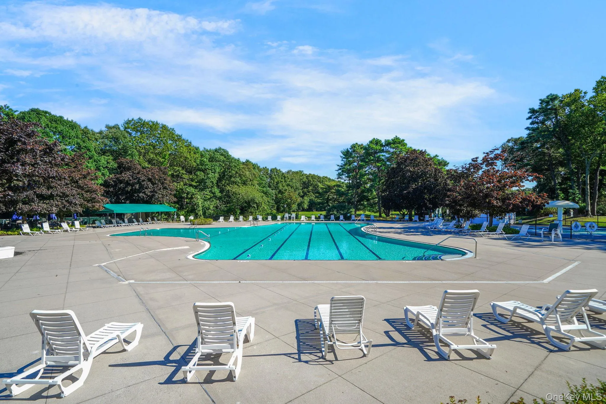 Olympic-sized saltwater swimming pool with lap lanes and deep-end diving capabilities, surrounded by expansive concrete decking and lounge seating areas Olympic-sized saltwater swimming pool with lap lanes and deep-end diving capabilities, surrounded by expansive concrete decking and lounge seating areas