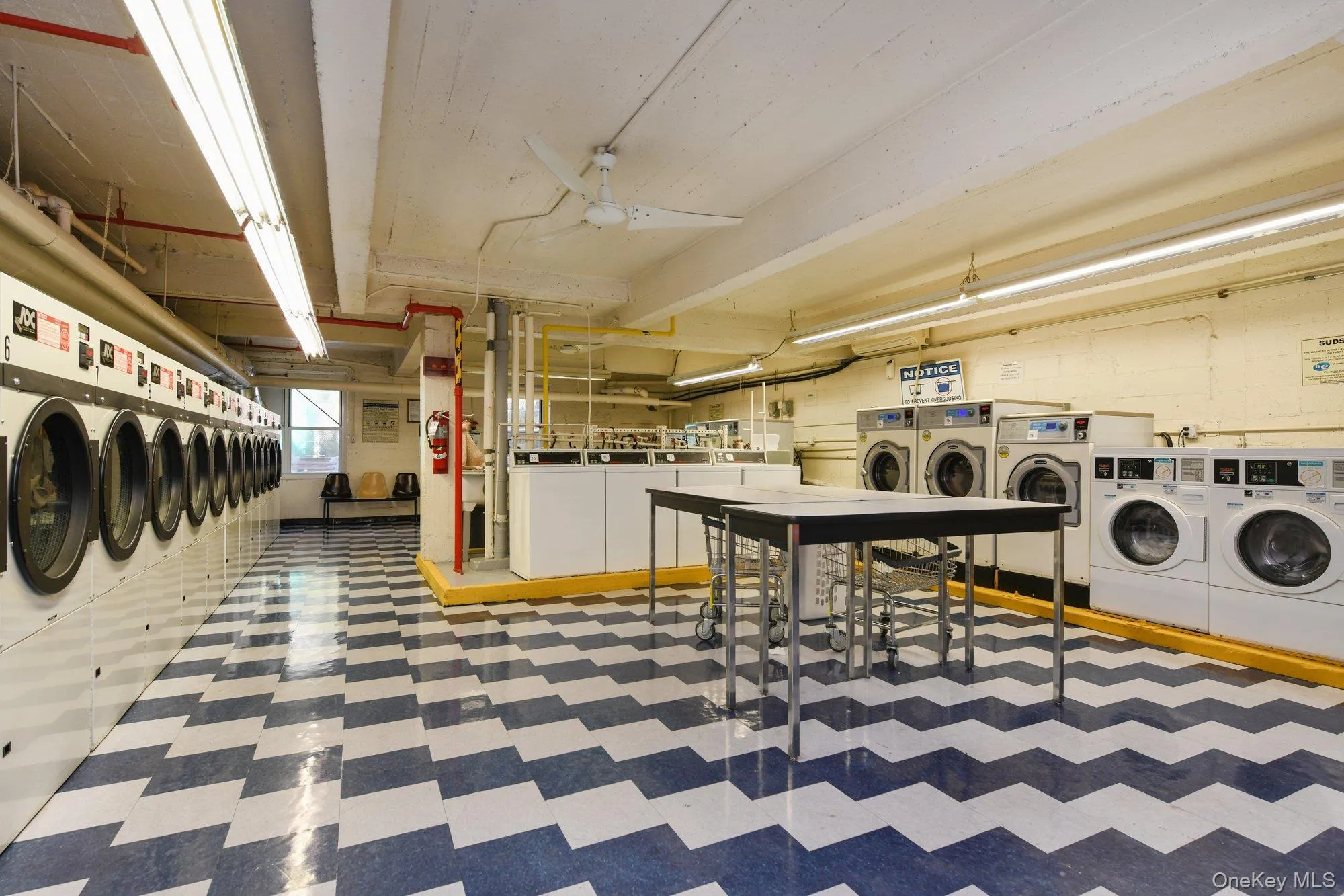 142-05 Roosevelt Avenue, New York, NY, 1 Bedroom Bedrooms, 4 Rooms Rooms,1 BathroomBathrooms,Residential,For Rent,Roosevelt,0,1034660 142-05 Roosevelt Avenue, New York, NY, 1 Bedroom Bedrooms, 4 Rooms Rooms,1 BathroomBathrooms,Residential,For Rent,Roosevelt,0,1034660