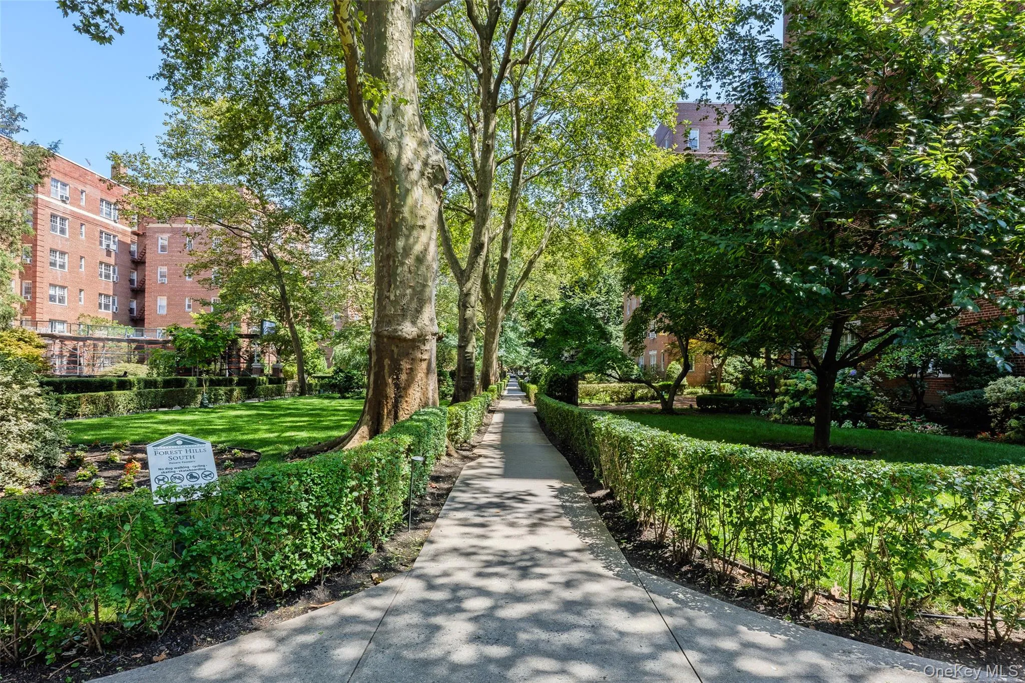 7714 113th Street, New York, NY, 1 Bedroom Bedrooms, 4 Rooms Rooms,1 BathroomBathrooms,Residential,For Rent,113th,0,1034698 7714 113th Street, New York, NY, 1 Bedroom Bedrooms, 4 Rooms Rooms,1 BathroomBathrooms,Residential,For Rent,113th,0,1034698