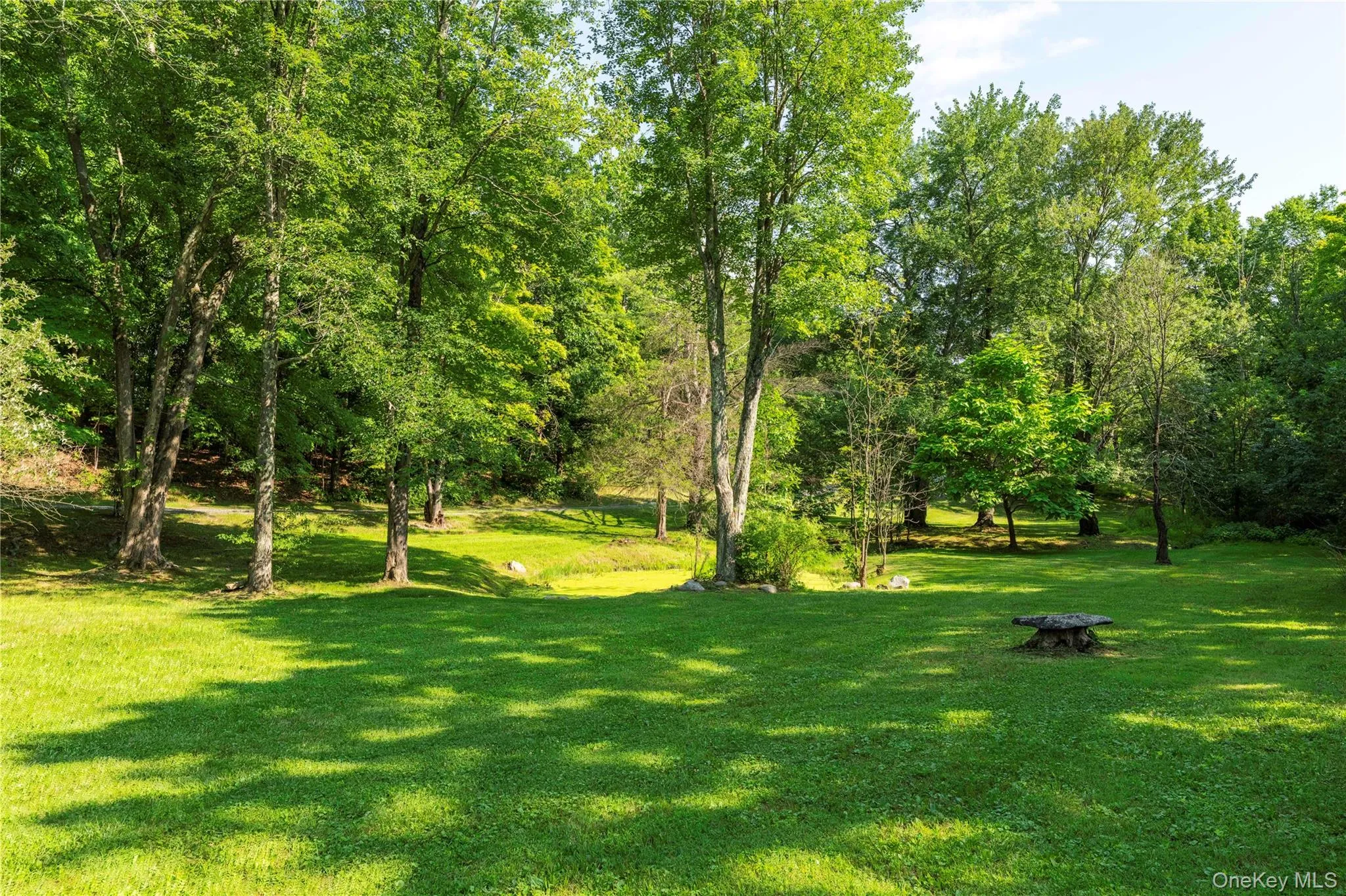 71 Pine Road, Hyde Park, NY, 3 Bedrooms Bedrooms, 13 Rooms Rooms,3 BathroomsBathrooms,Residential,For Rent,Pine,0,1034739 71 Pine Road, Hyde Park, NY, 3 Bedrooms Bedrooms, 13 Rooms Rooms,3 BathroomsBathrooms,Residential,For Rent,Pine,0,1034739