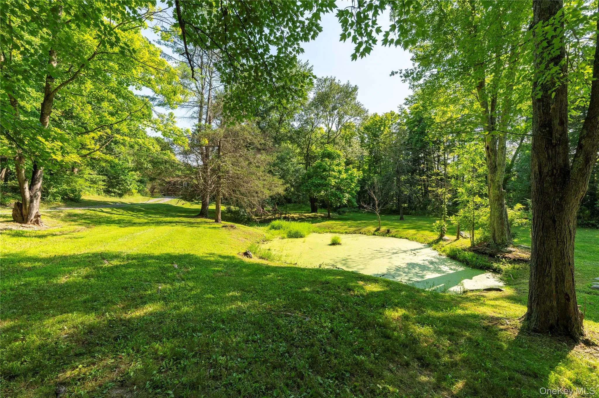 71 Pine Road, Hyde Park, NY, 3 Bedrooms Bedrooms, 13 Rooms Rooms,3 BathroomsBathrooms,Residential,For Rent,Pine,0,1034739 71 Pine Road, Hyde Park, NY, 3 Bedrooms Bedrooms, 13 Rooms Rooms,3 BathroomsBathrooms,Residential,For Rent,Pine,0,1034739