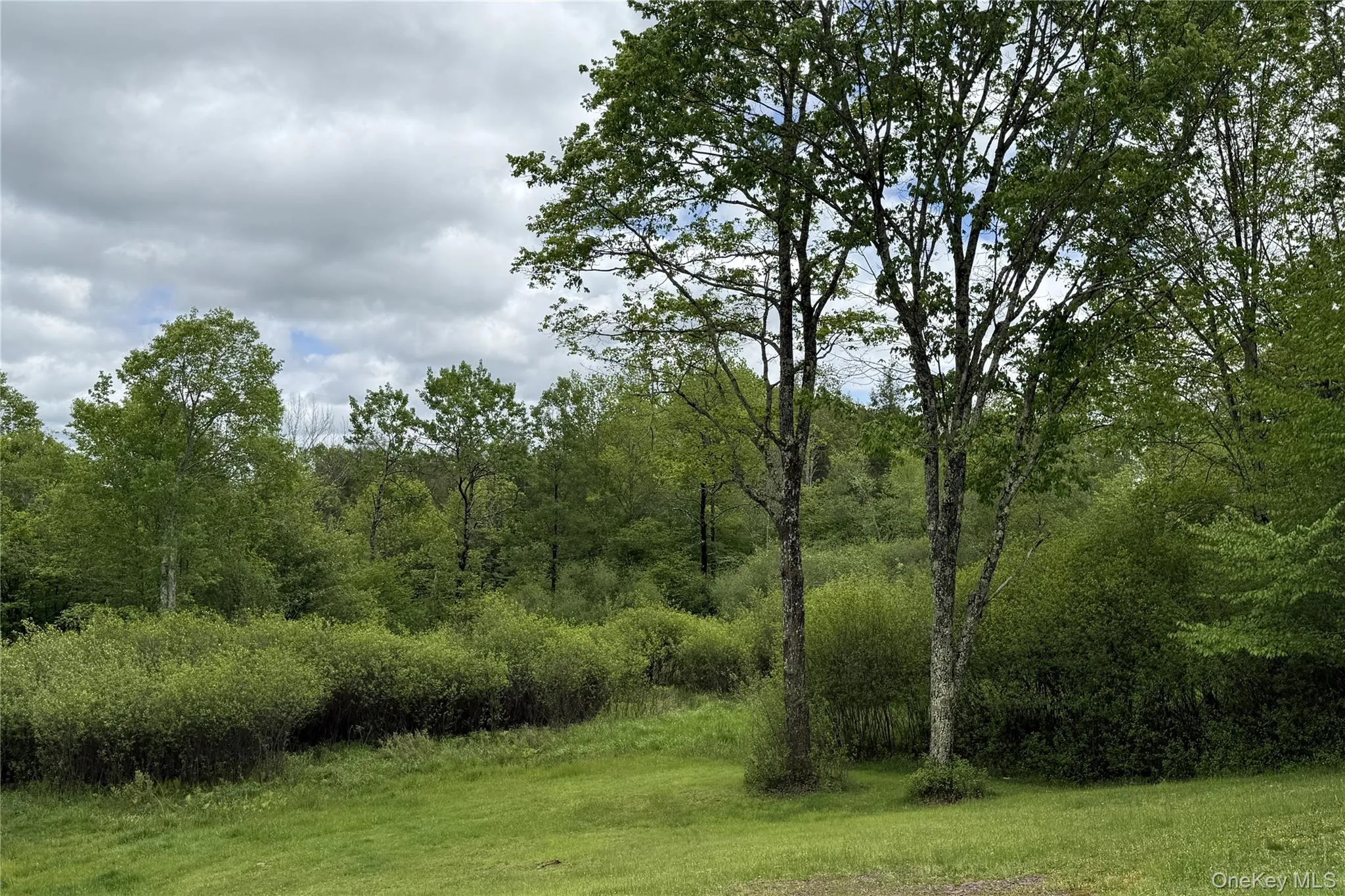 22 J Spielman Road, Callicoon, NY, 2 Bedrooms Bedrooms, 10 Rooms Rooms,2 BathroomsBathrooms,Residential Lease,For Rent,J Spielman,0,1034744 22 J Spielman Road, Callicoon, NY, 2 Bedrooms Bedrooms, 10 Rooms Rooms,2 BathroomsBathrooms,Residential Lease,For Rent,J Spielman,0,1034744
