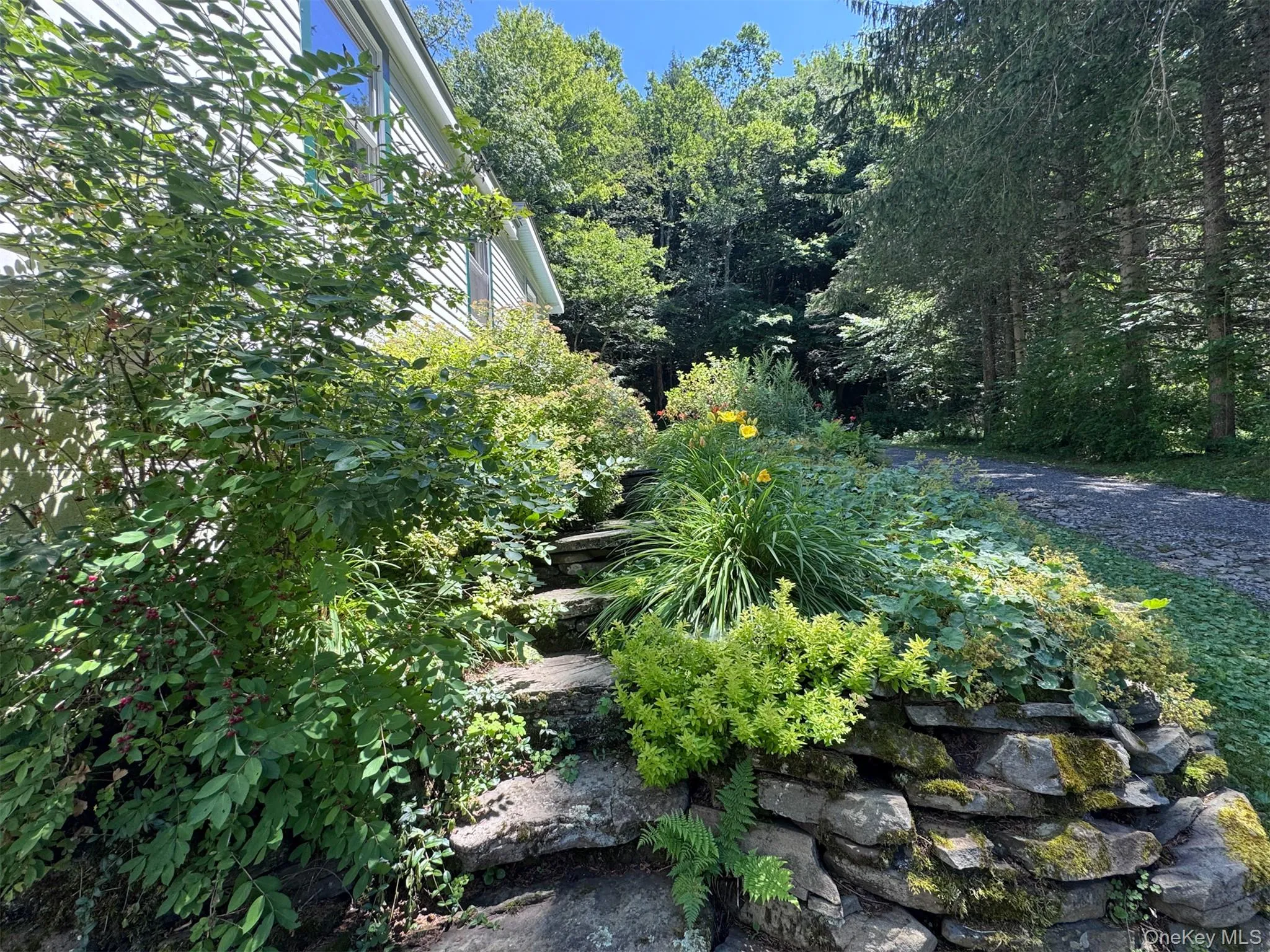 60 Alder Creek Road, Hardenburgh, NY, 3 Bedrooms Bedrooms, 5 Rooms Rooms,1 BathroomBathrooms,Residential,For Rent,Alder Creek,0,1034754 60 Alder Creek Road, Hardenburgh, NY, 3 Bedrooms Bedrooms, 5 Rooms Rooms,1 BathroomBathrooms,Residential,For Rent,Alder Creek,0,1034754